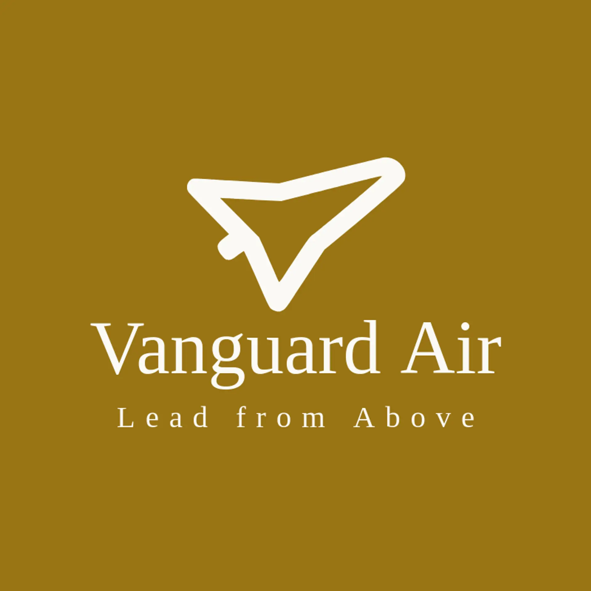 Vanguard Air logo for air force