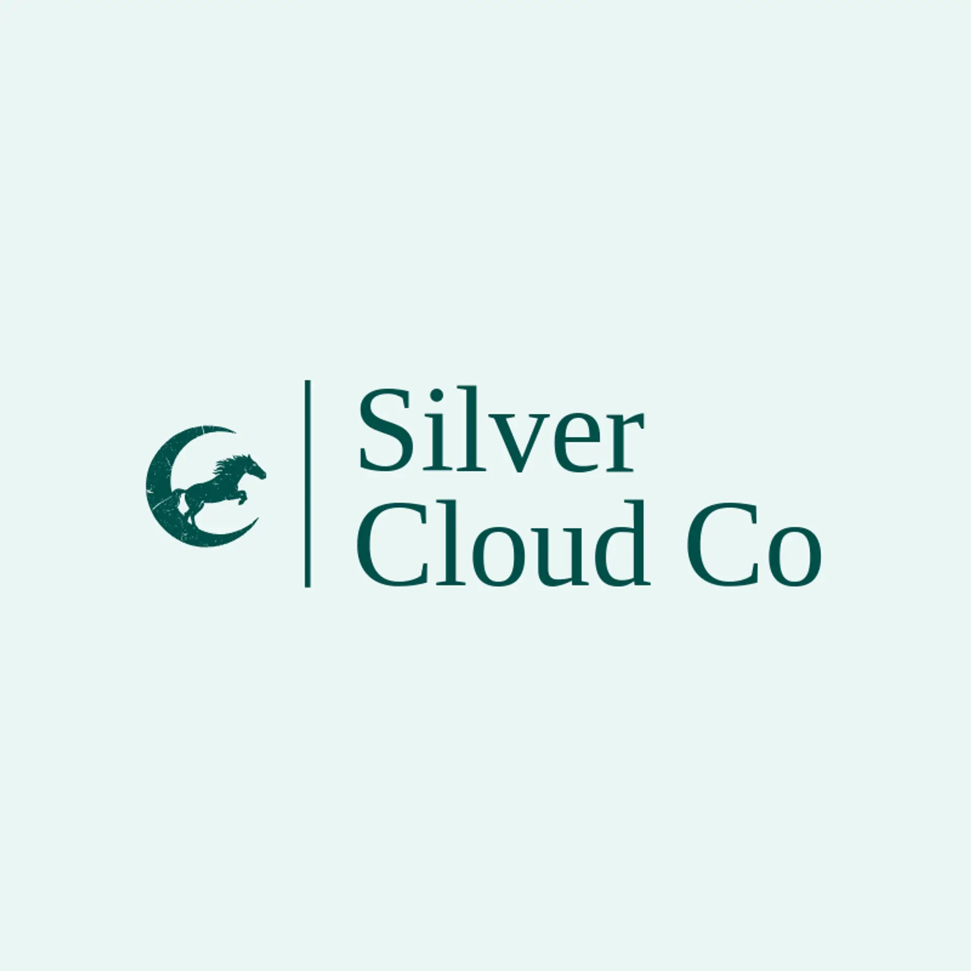 Silver Cloud Co logo for pegasus