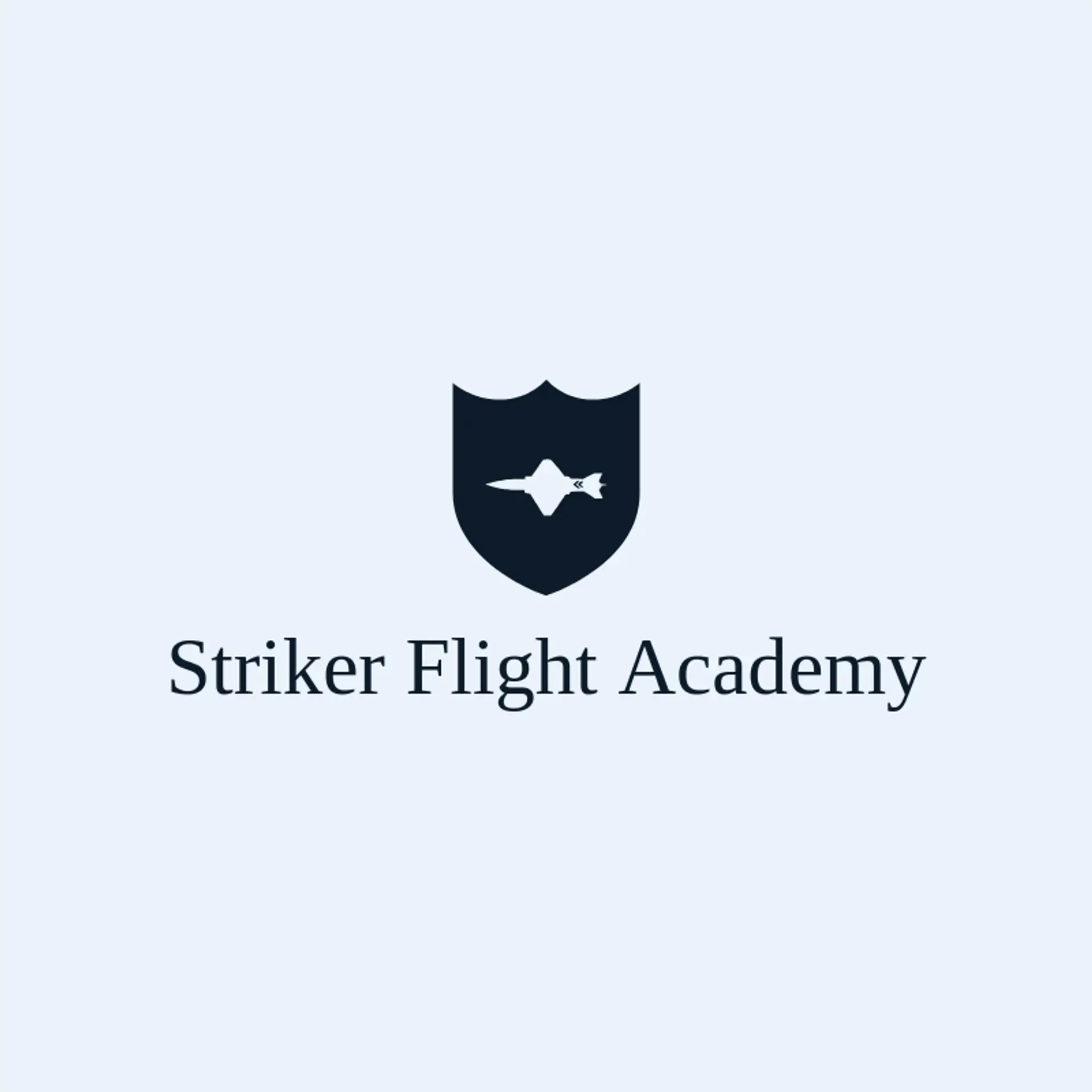 Striker Flight Academy logo for airforce