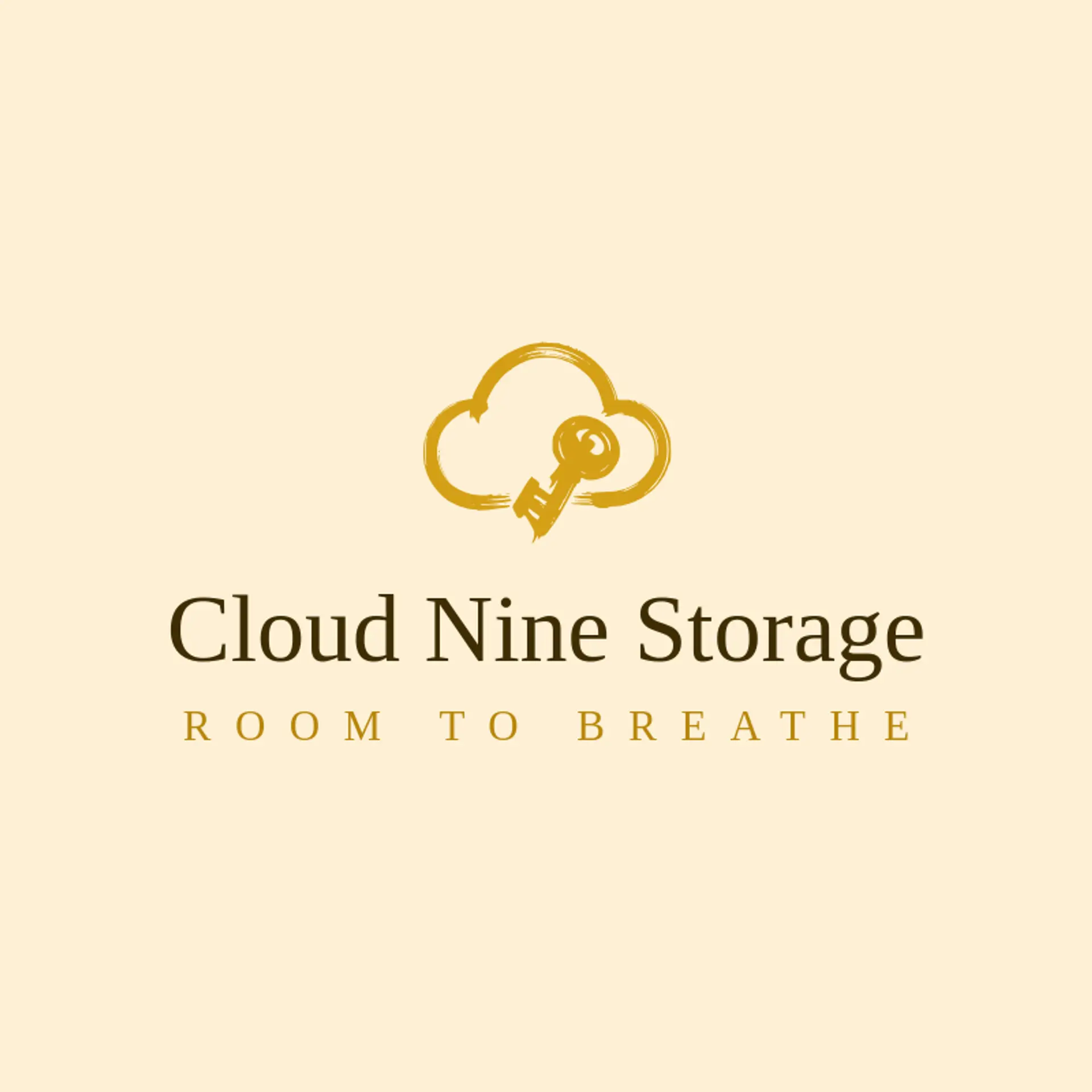 Cloud Nine Storage logo for storage
