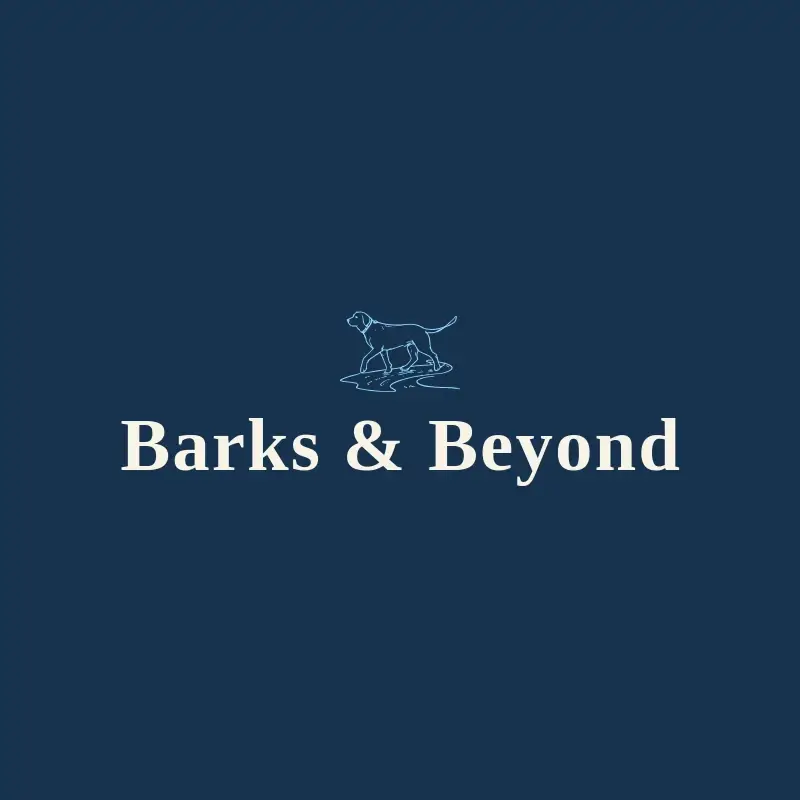 The dog walking business name Barks & Beyond as a branded logo with a single color icon