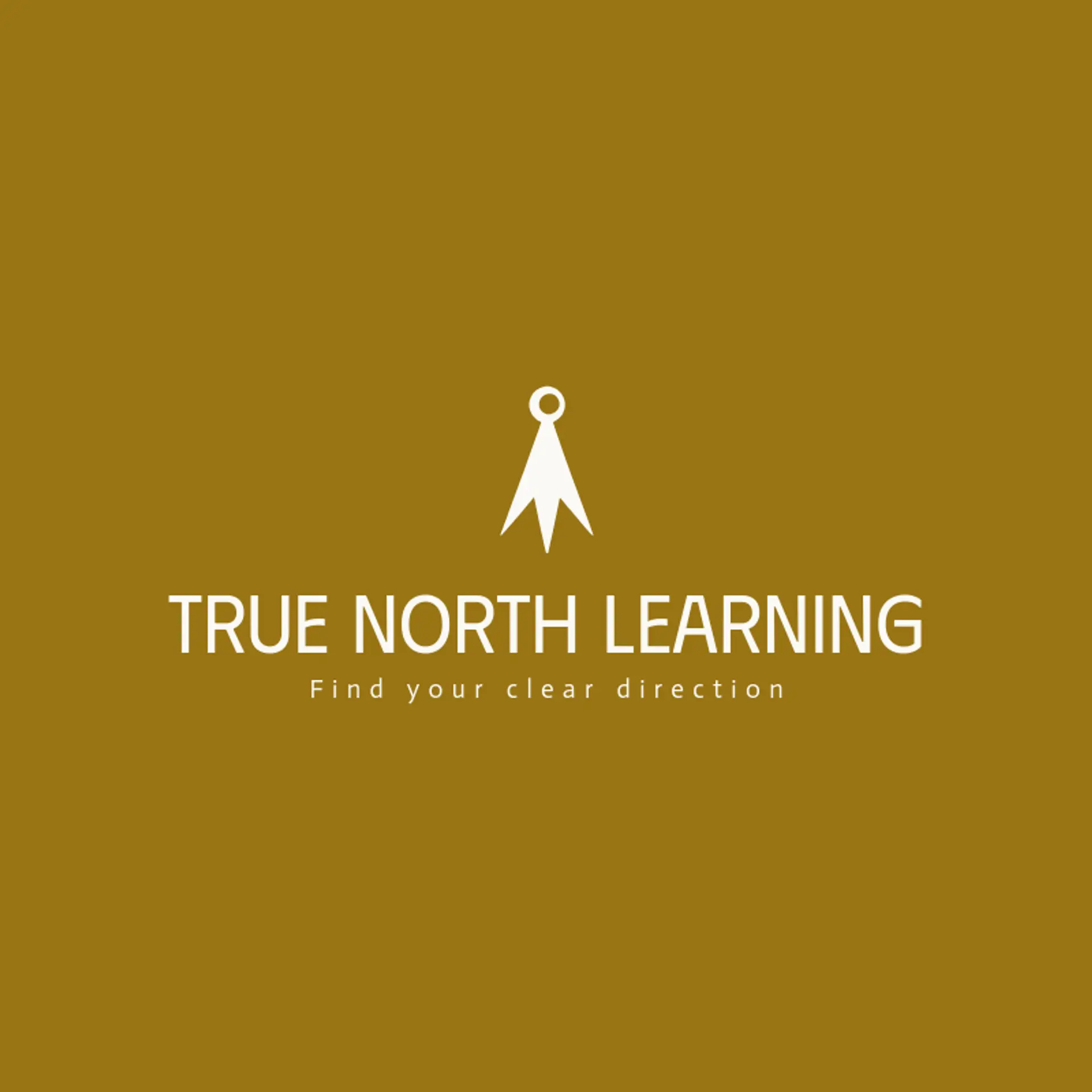 True North Learning logo for islamic