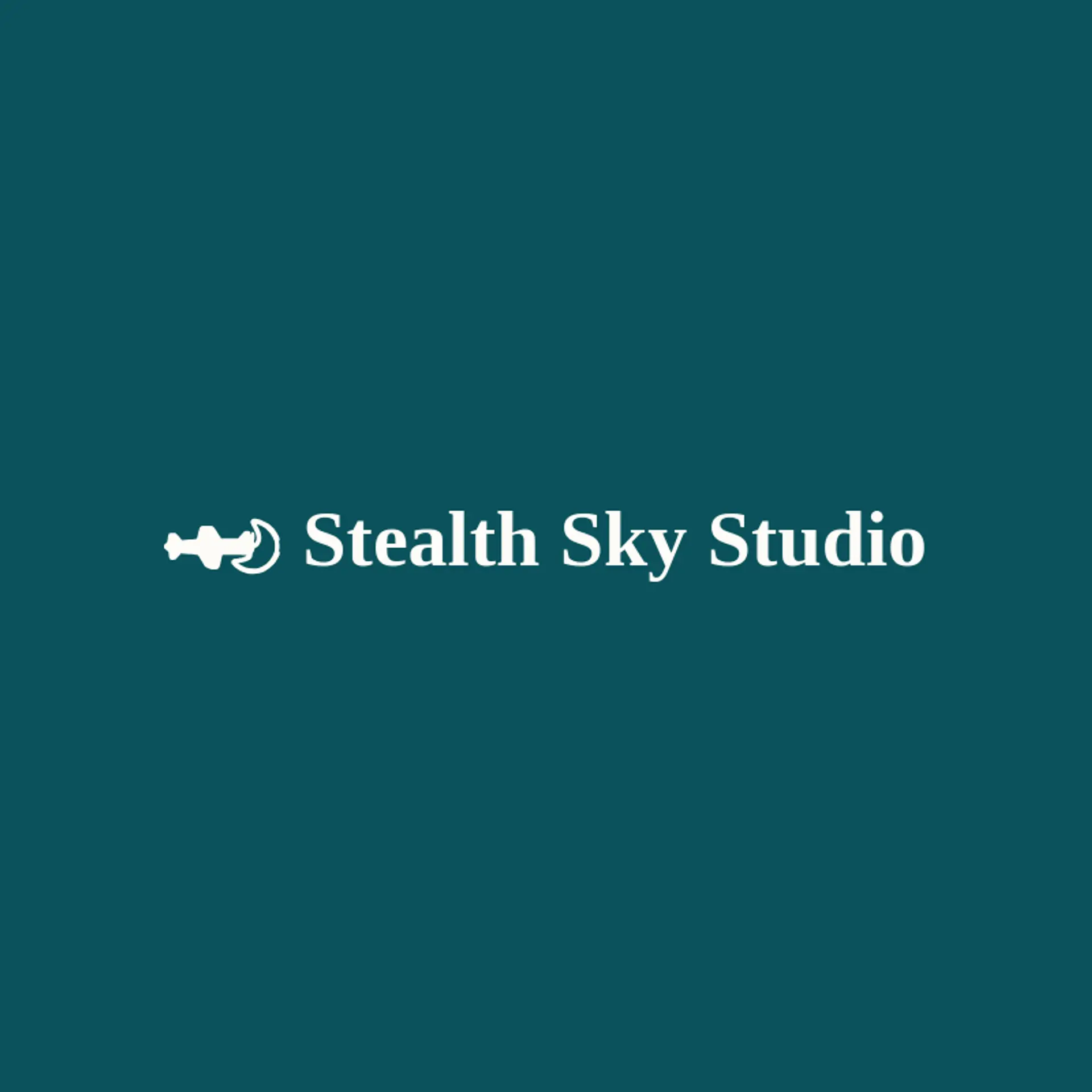 Stealth Sky Studio logo for airforce