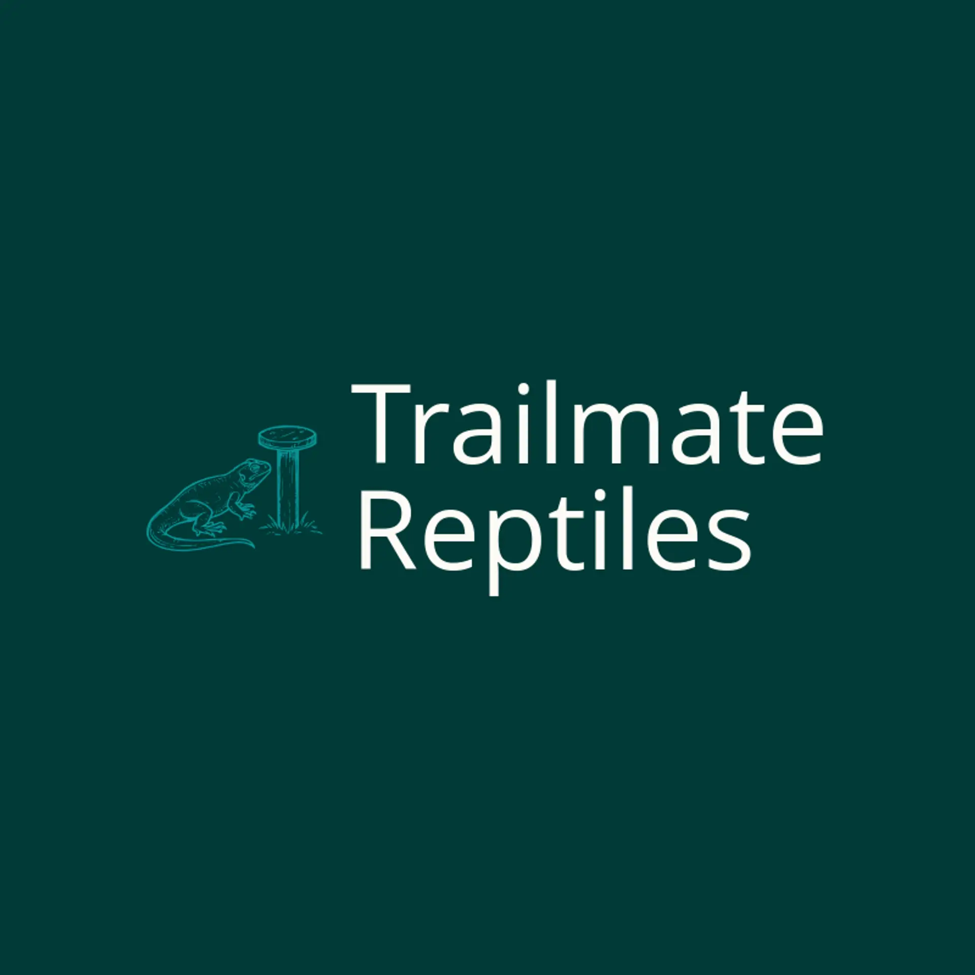 Trailmate Reptiles logo for lizard