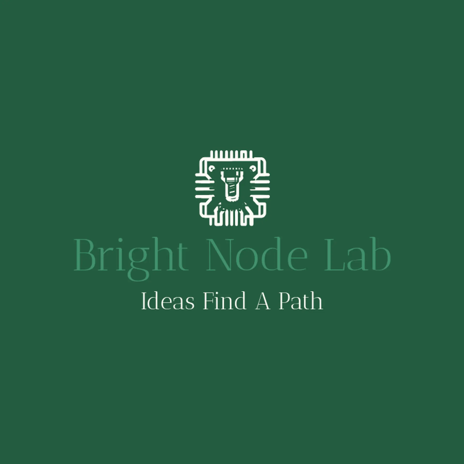 Bright Node Lab logo for robot