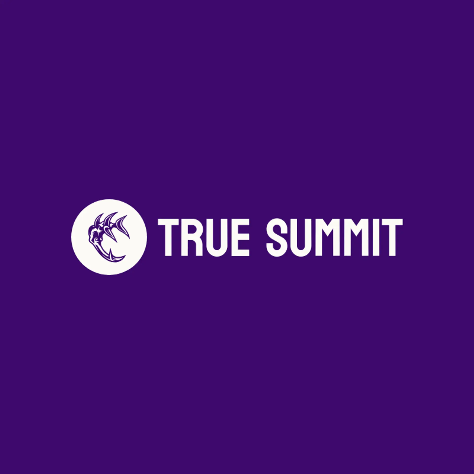 True Summit logo for spike