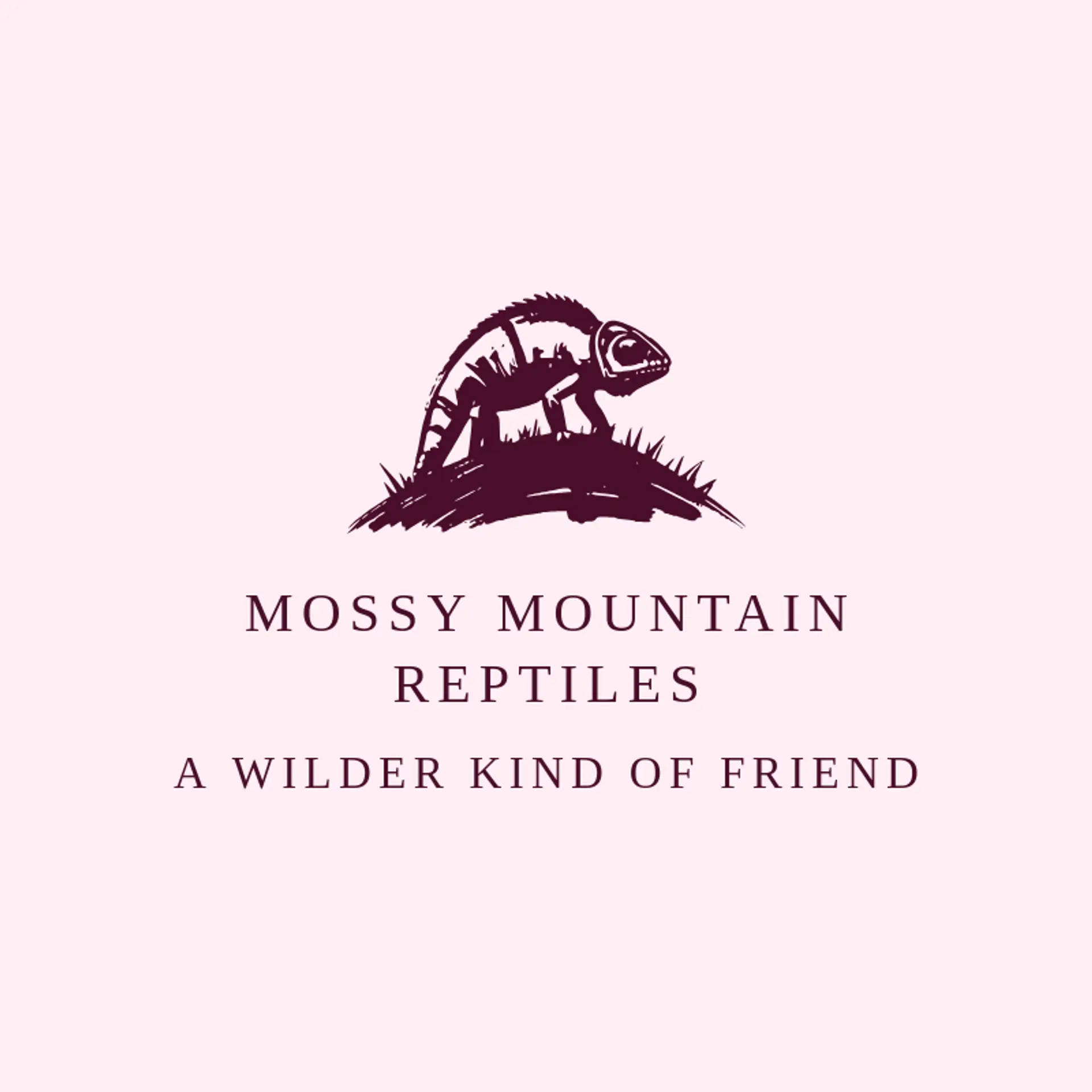 Mossy Mountain Reptiles logo for chameleon