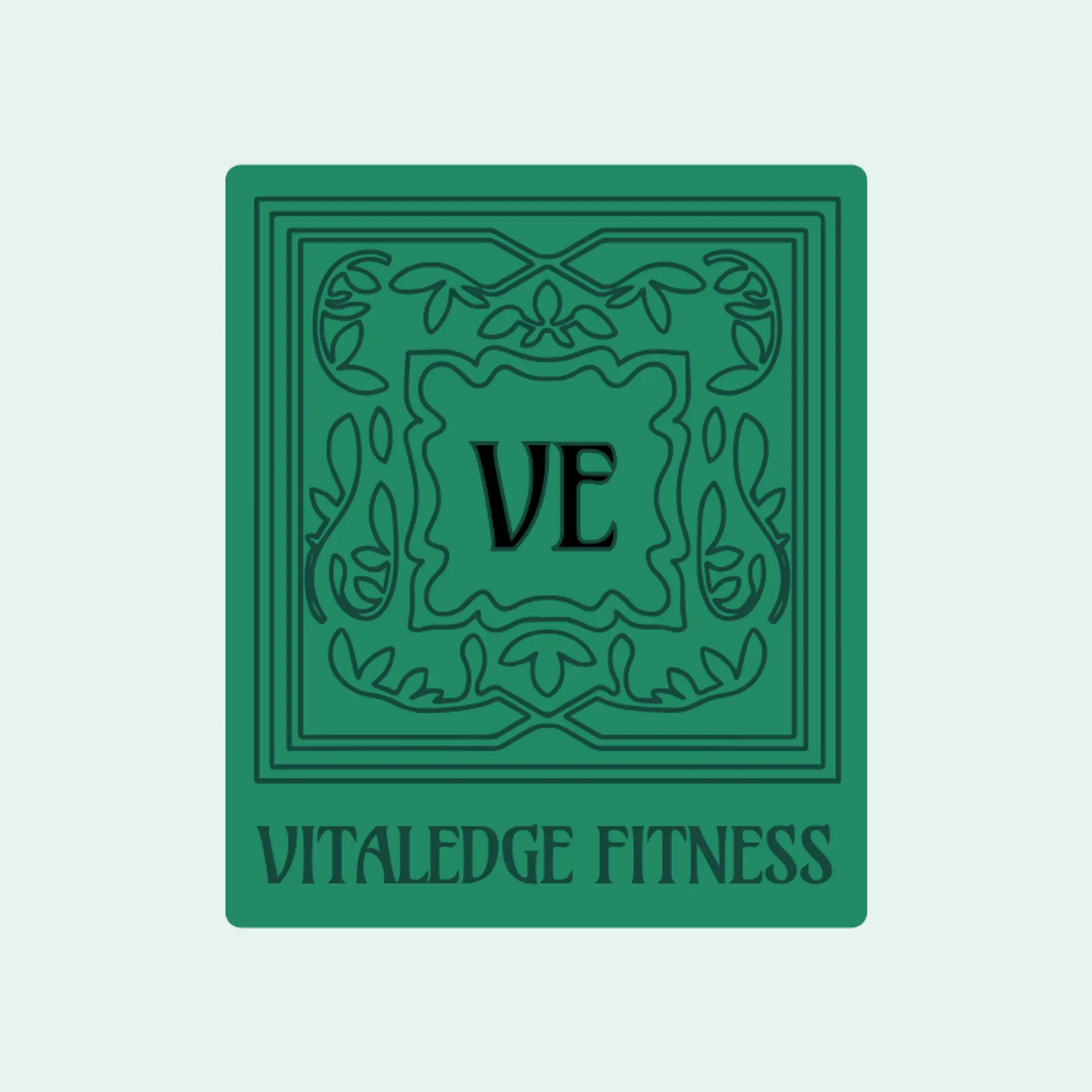 Vitality Hub logo for health and fitness