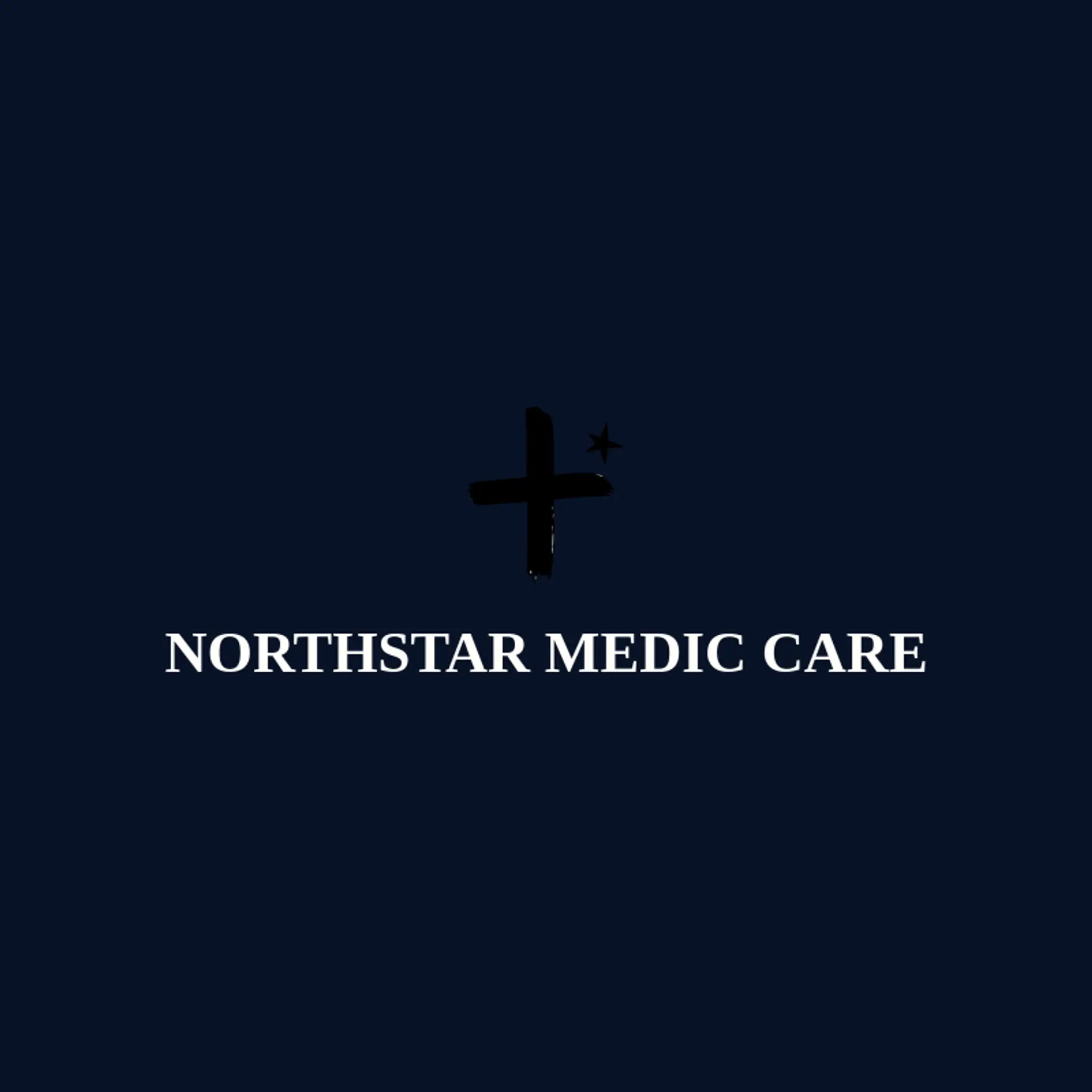 Northstar Medic Care logo for medic
