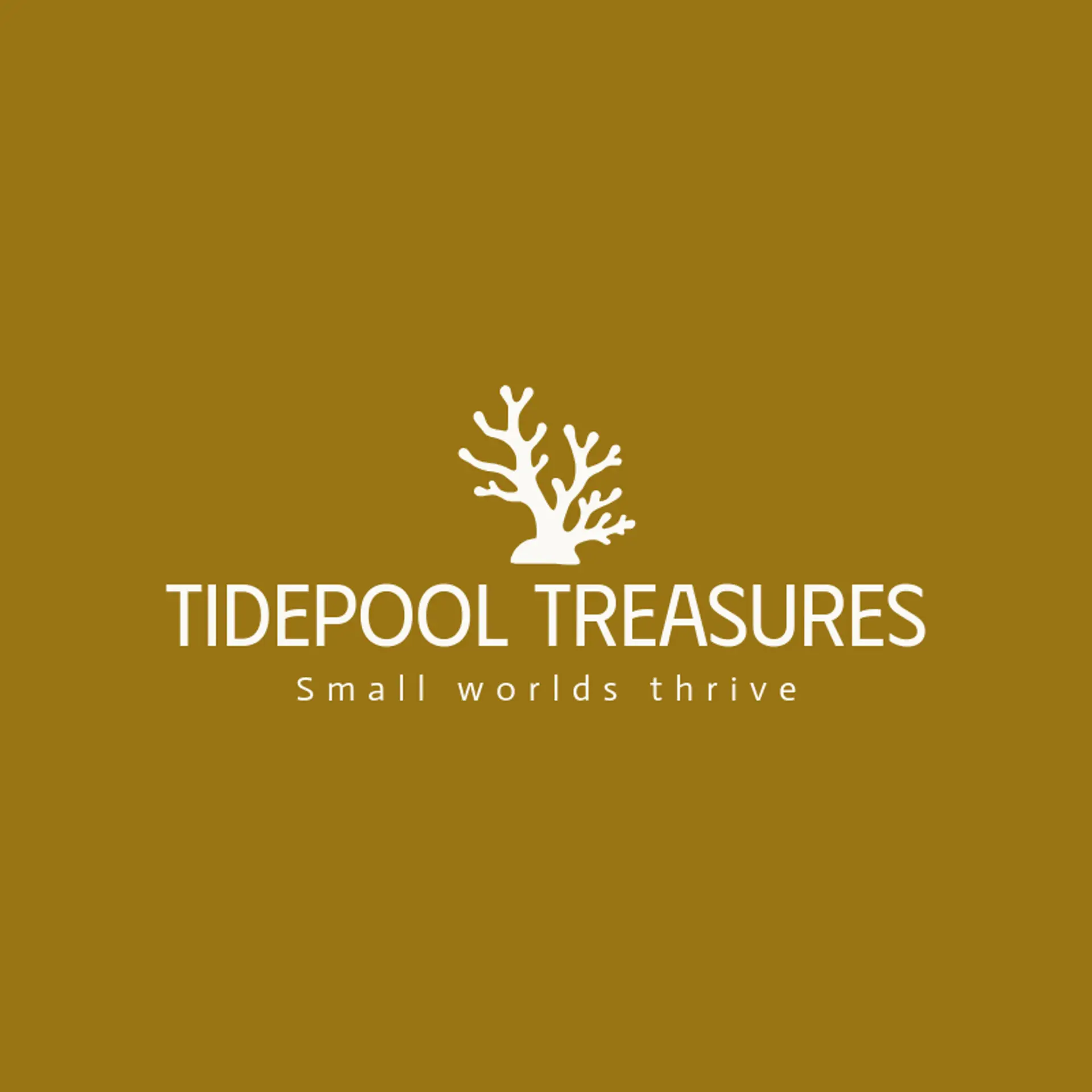 Tidepool Treasures logo for reef
