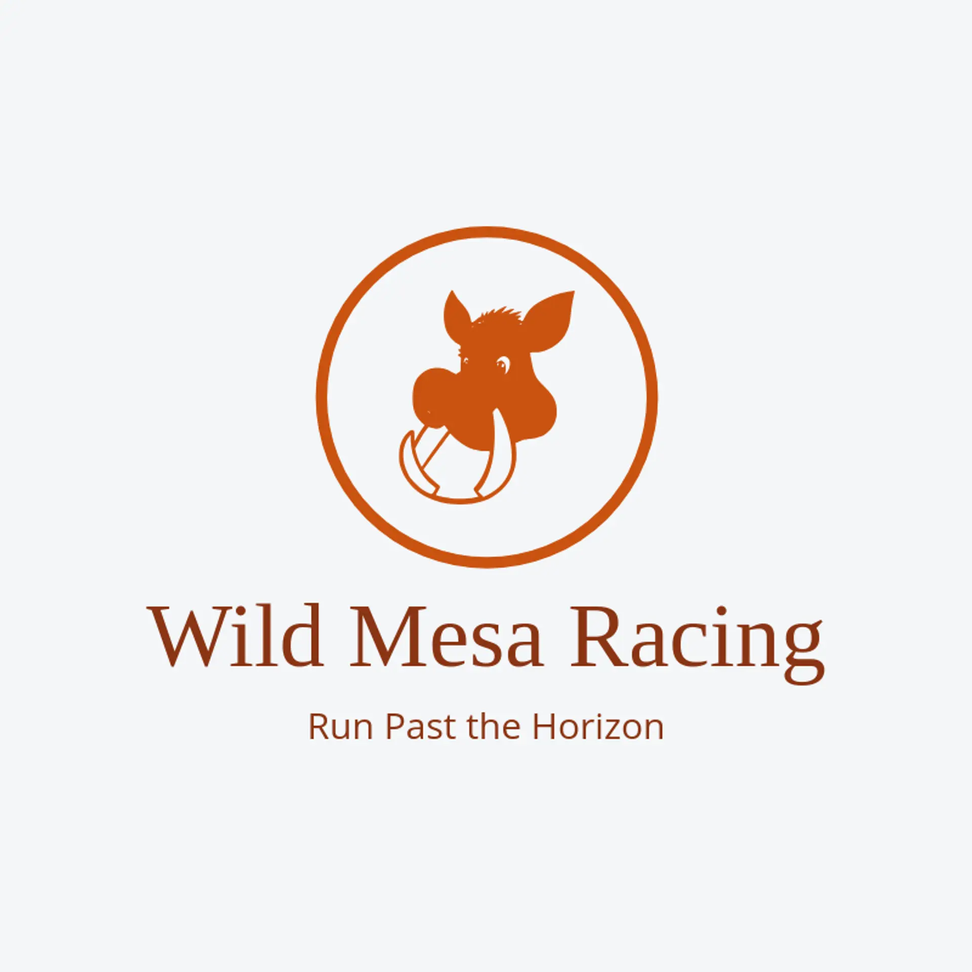 Wild Mesa Racing logo for wild