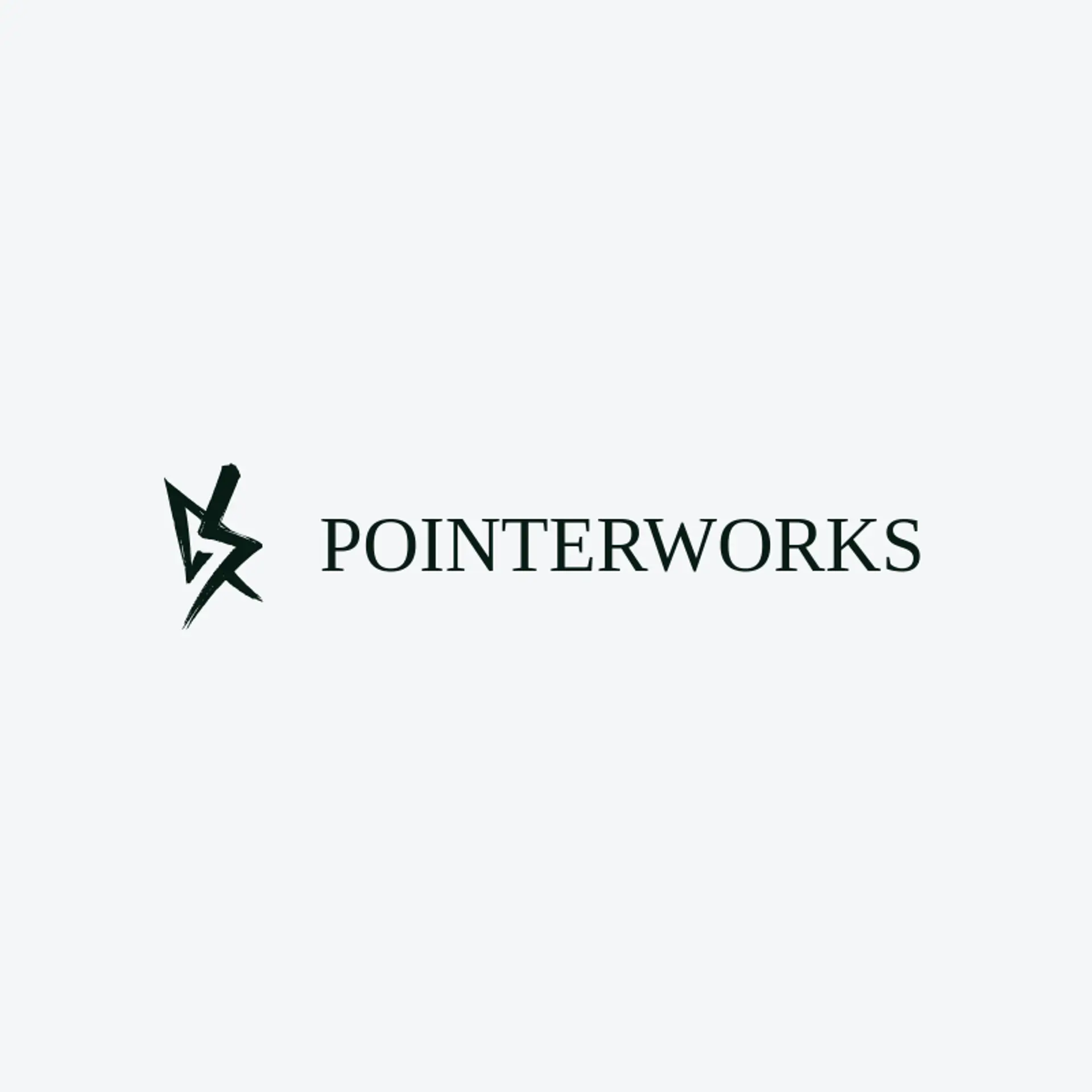 Pointer Works logo for coding