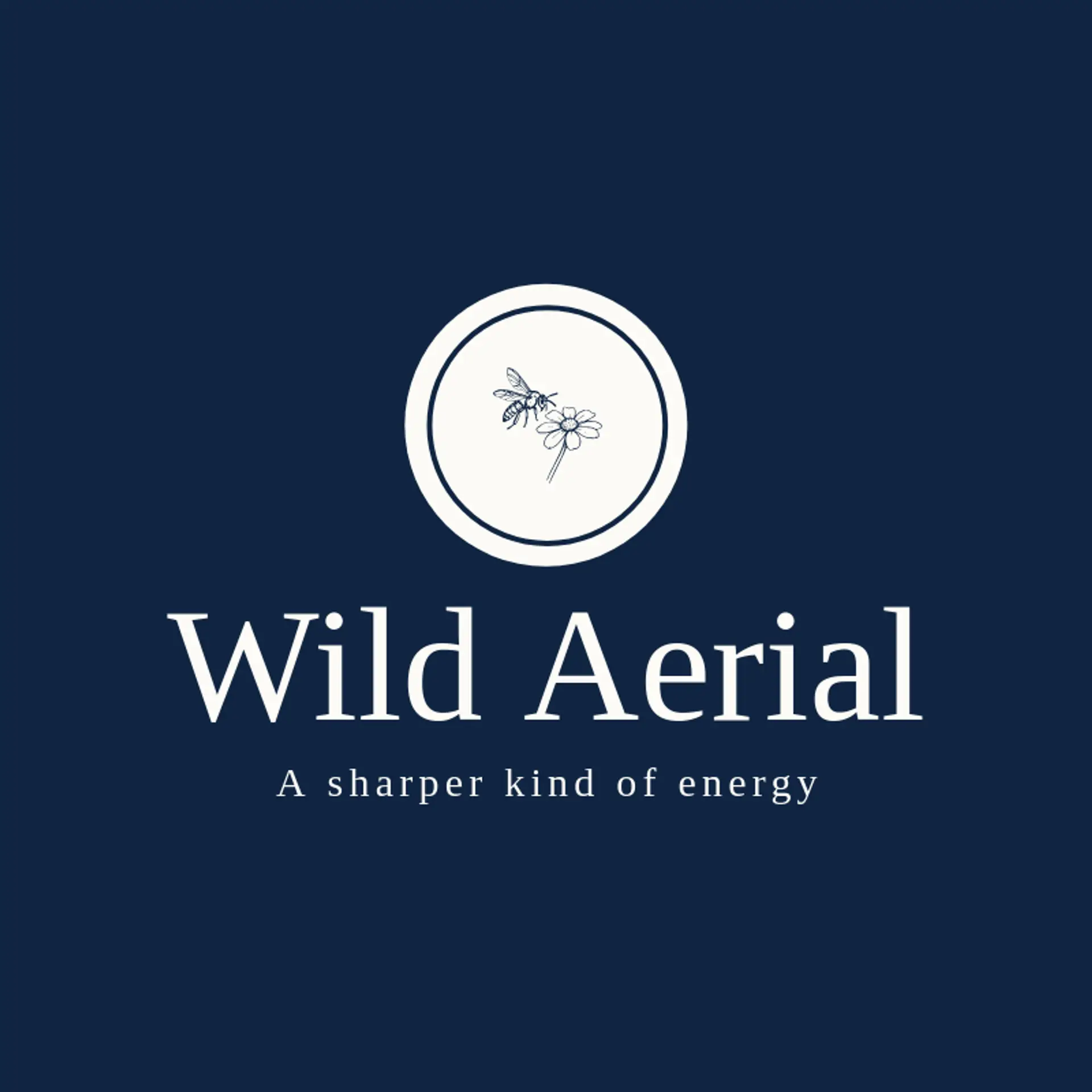 Wild Aerial logo for wasp