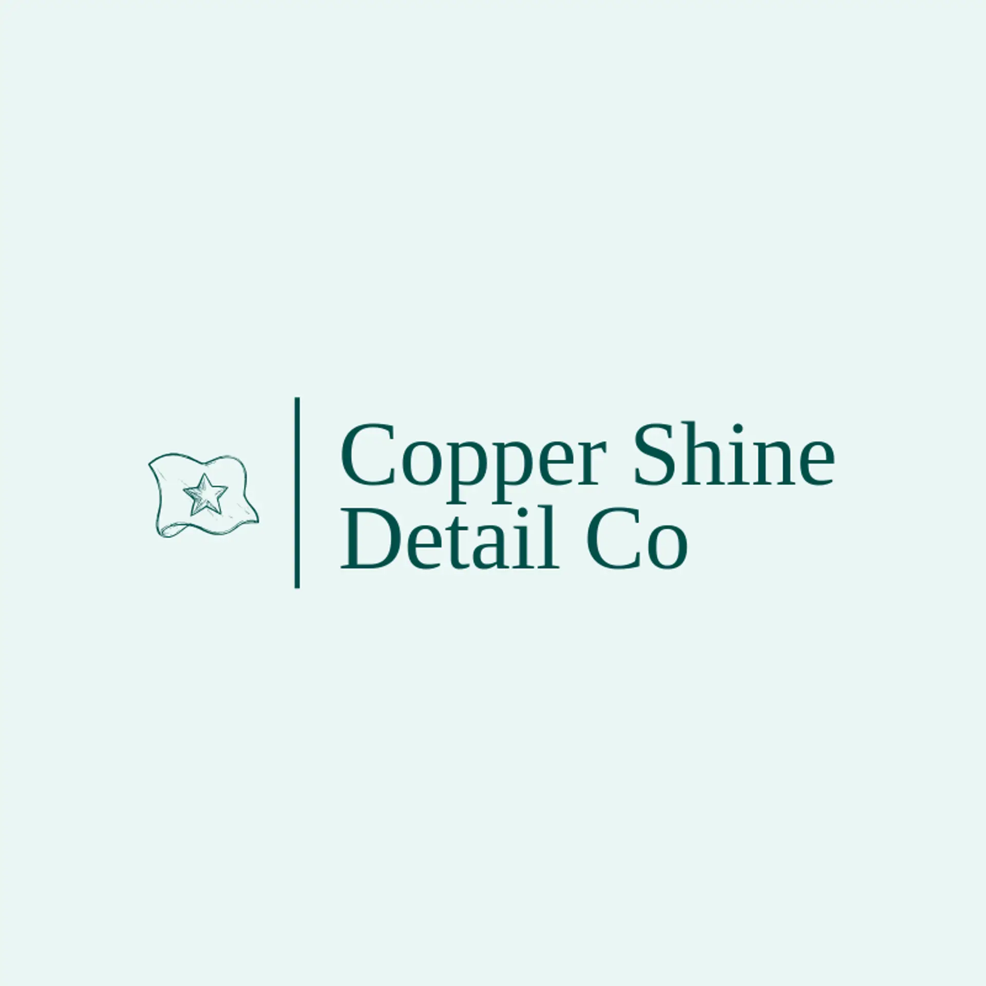 Copper Shine Detail Co logo for detail