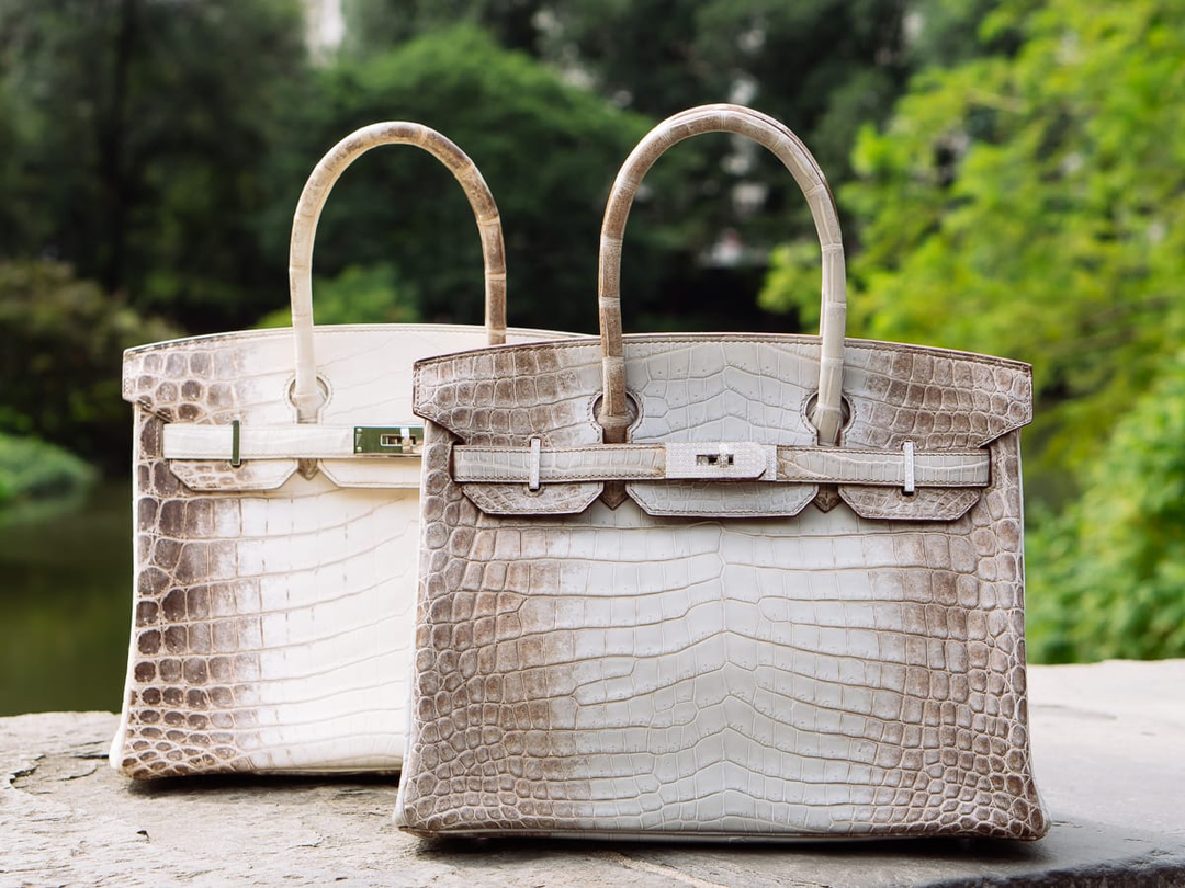 The rarest and most expensive Birkin bag priced at $500,000 | Source: PurseBlog