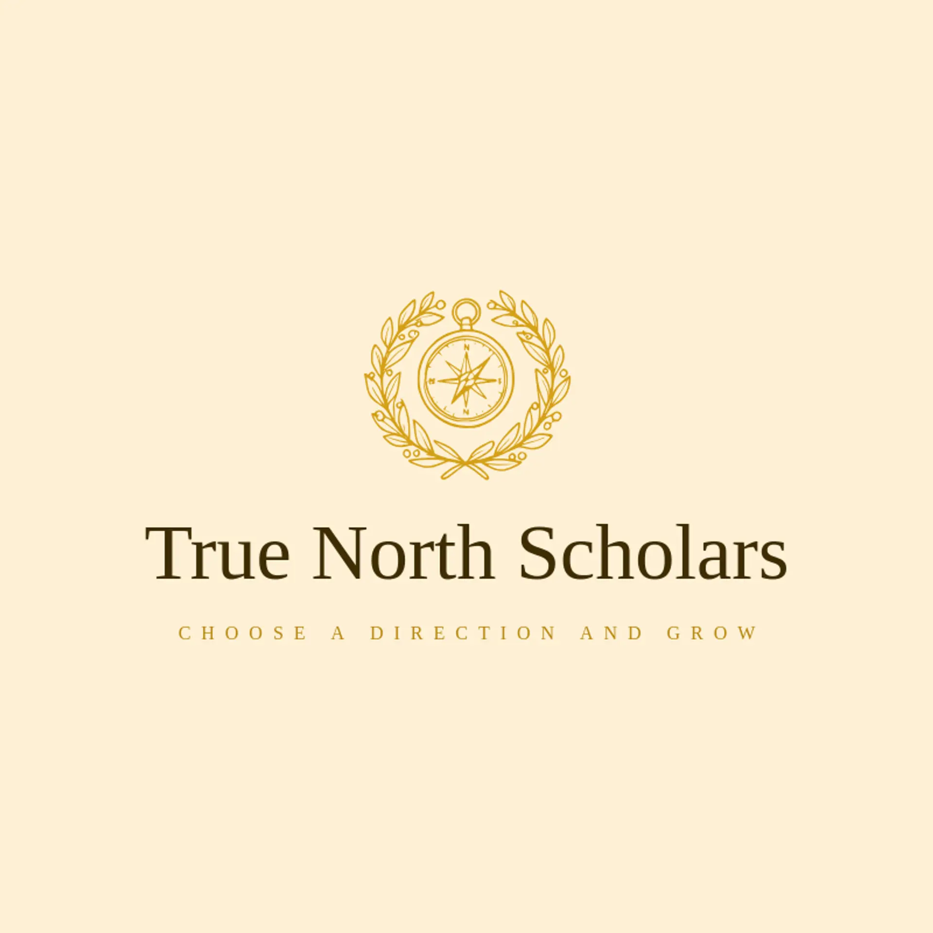 True North Scholars logo for scholarship