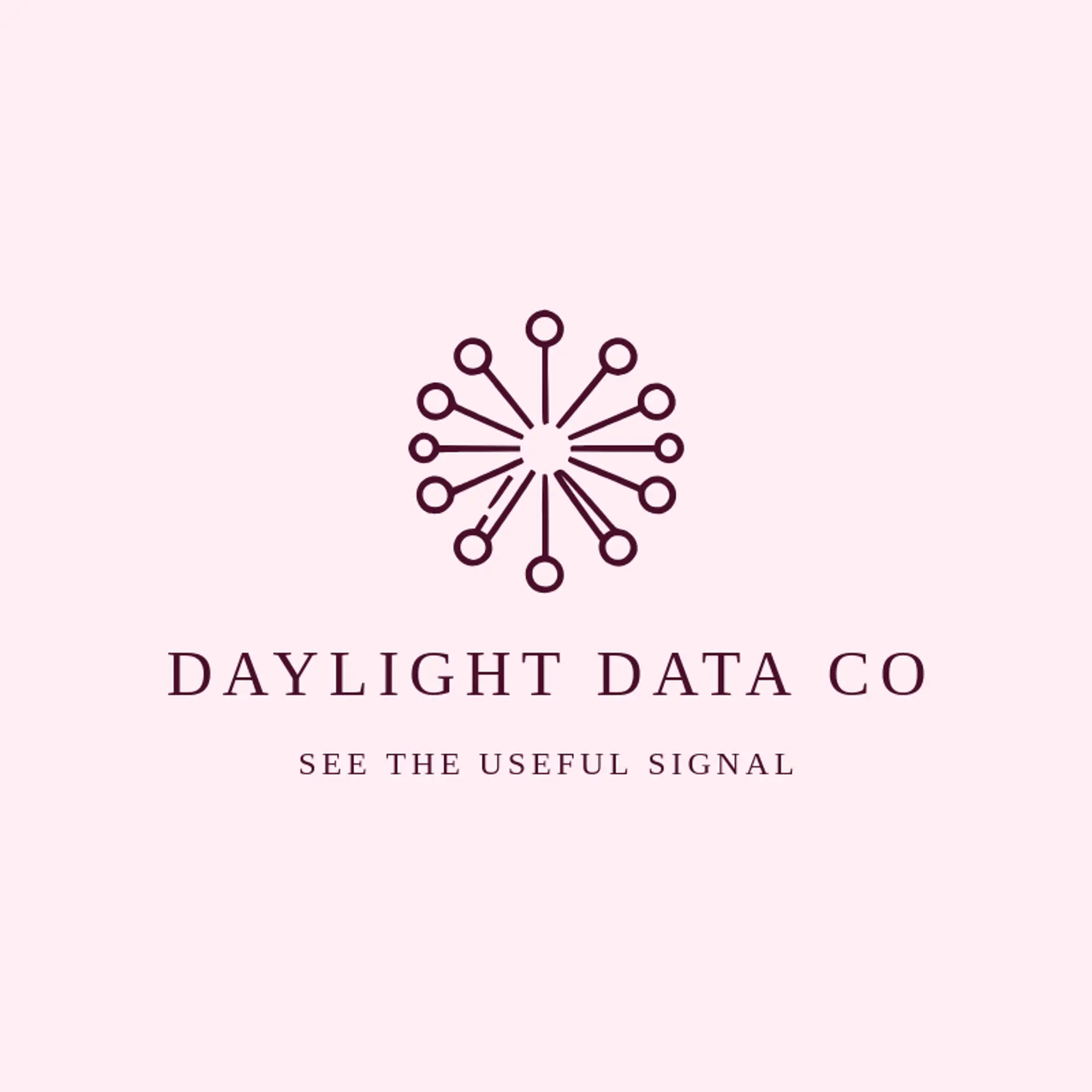 Daylight Data Co logo for information technology