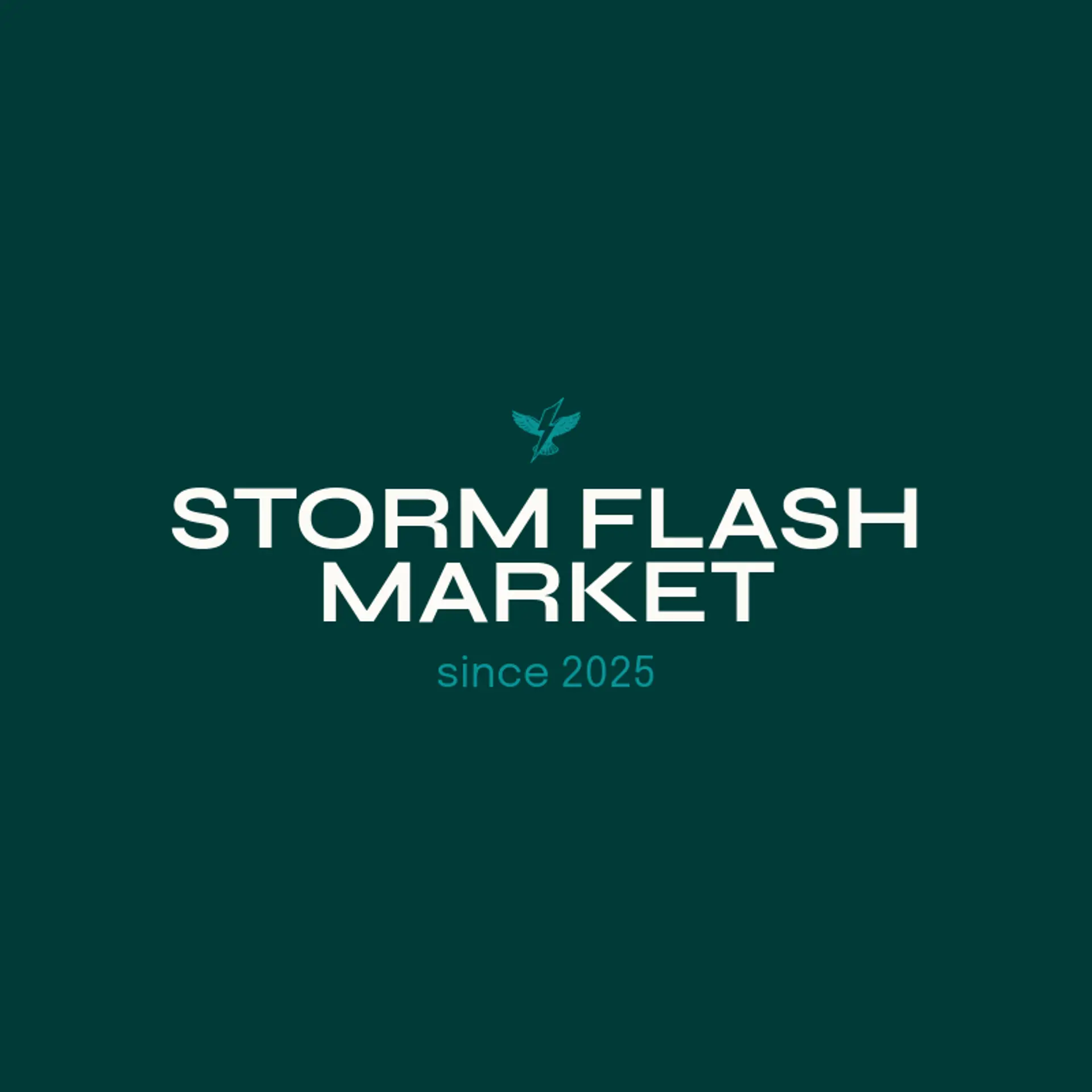 Storm Flash Market logo for storm