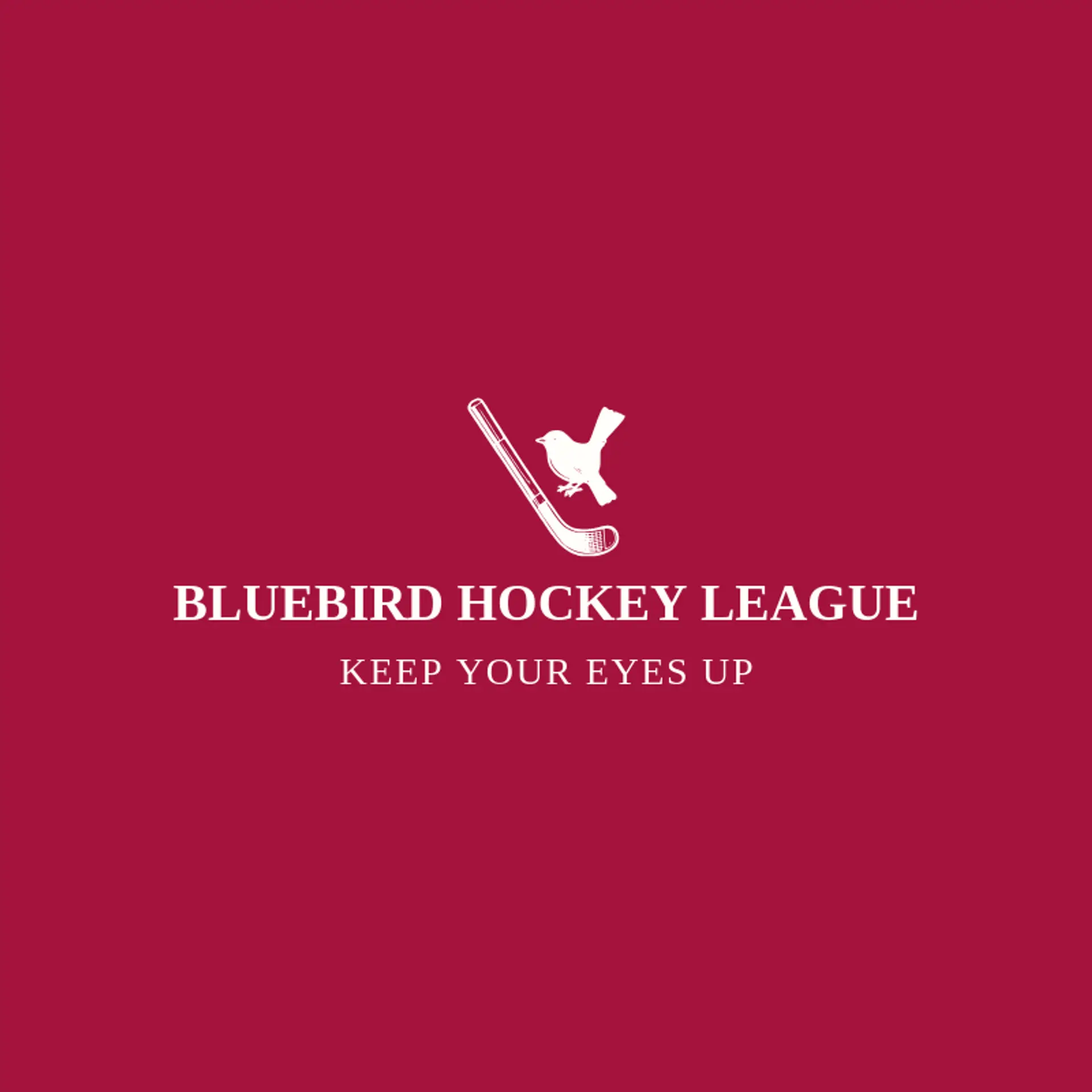 Bluebird Hockey League logo for hockey stick