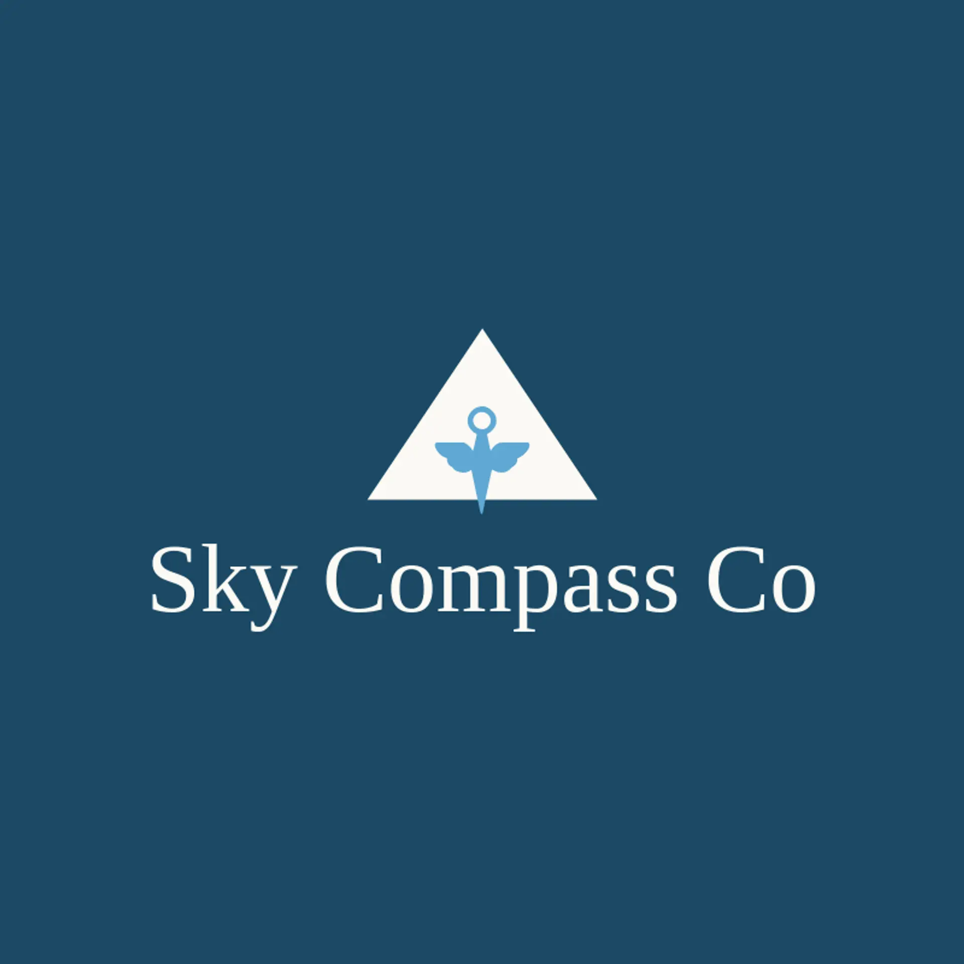 Sky Compass Co logo for airforce