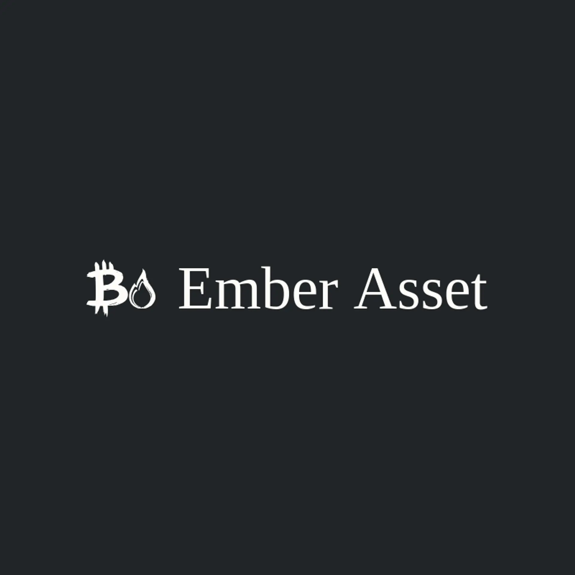 Ember Asset logo for cryptocurrency