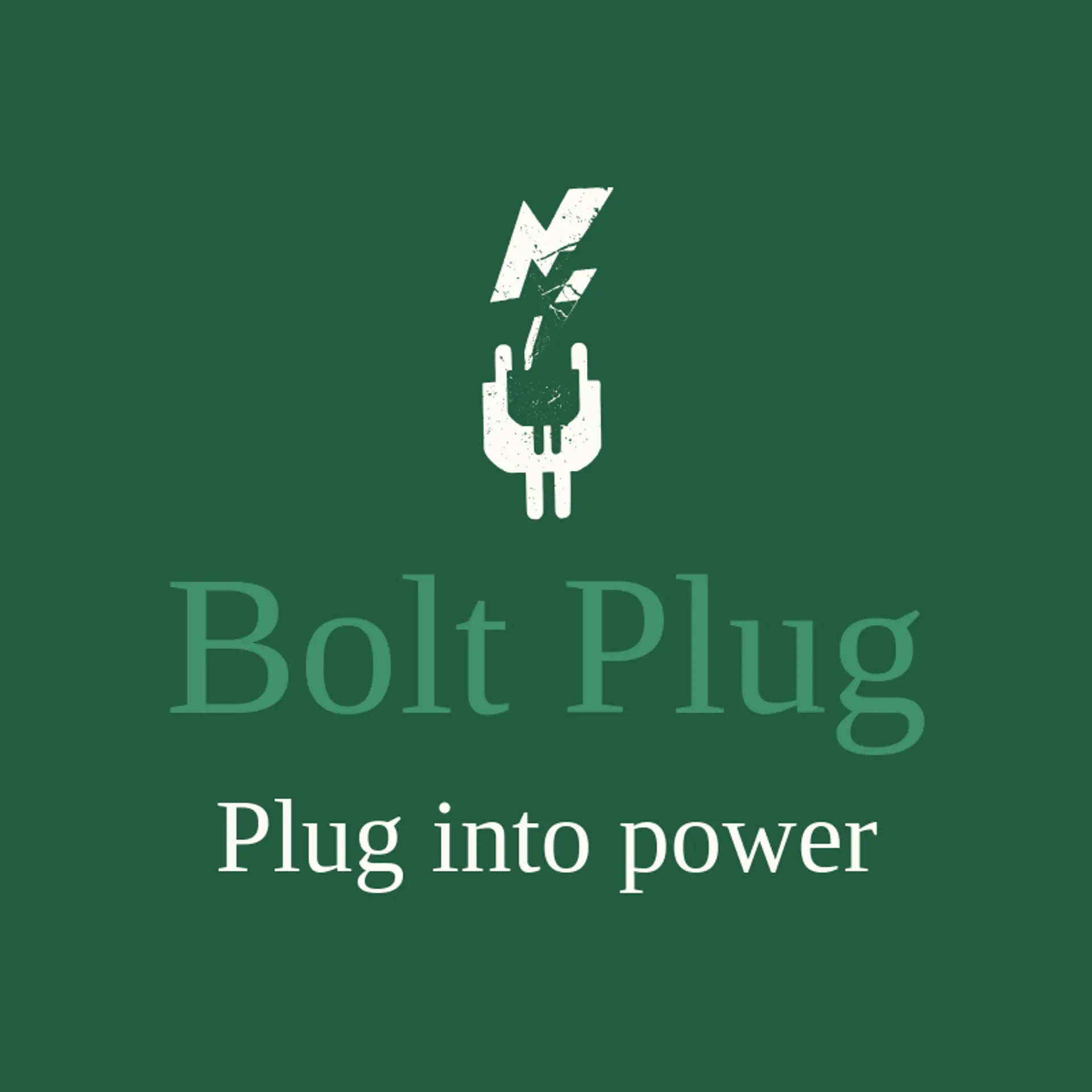 Bolt Plug logo for lightning bolt
