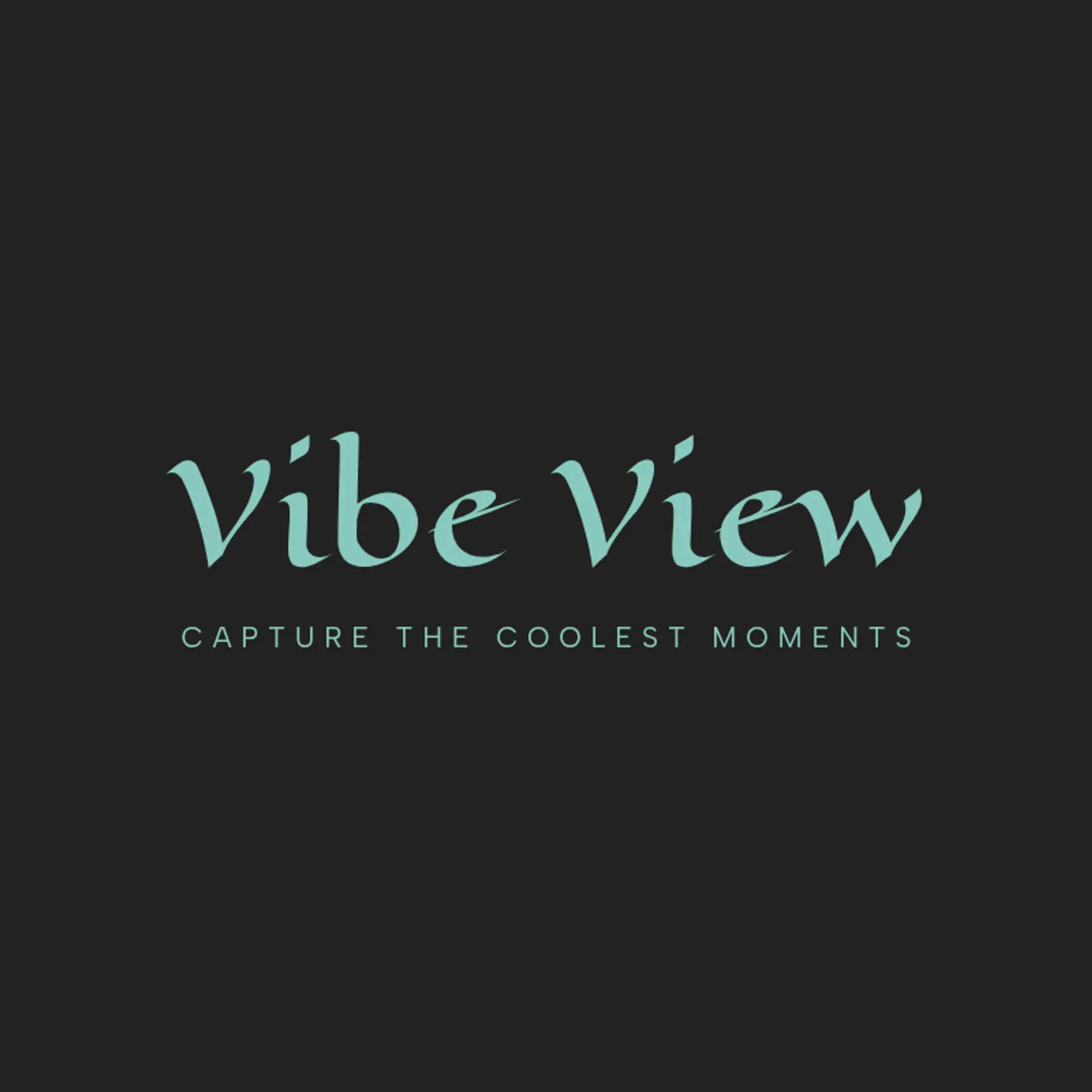 Vibe View logo for cool photography