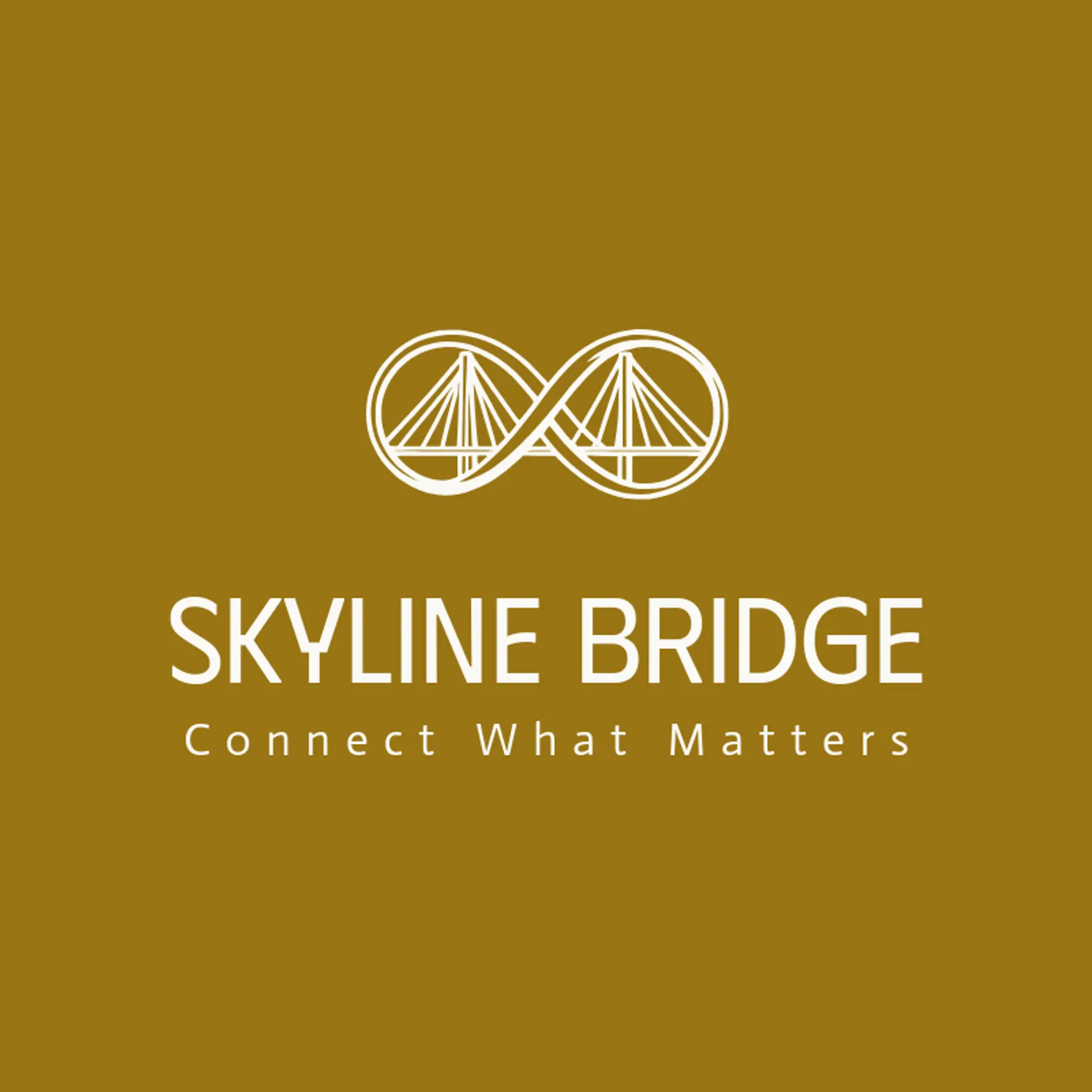 Skyline Bridge logo for infinity