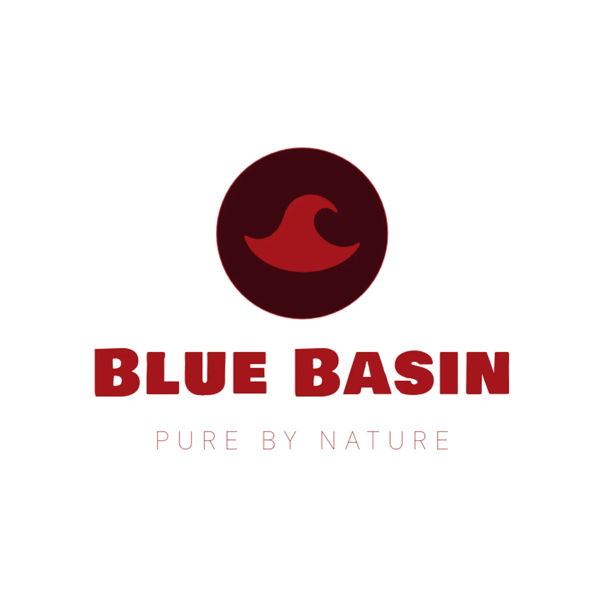 Blue Basin logo for water