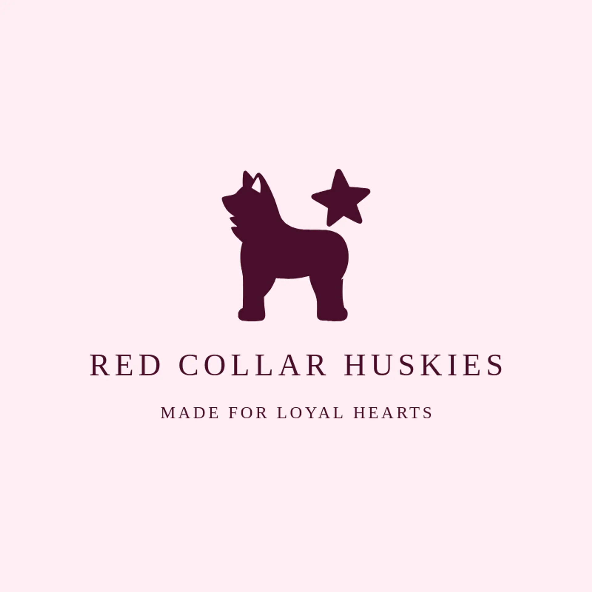 Red Collar Huskies logo for husky