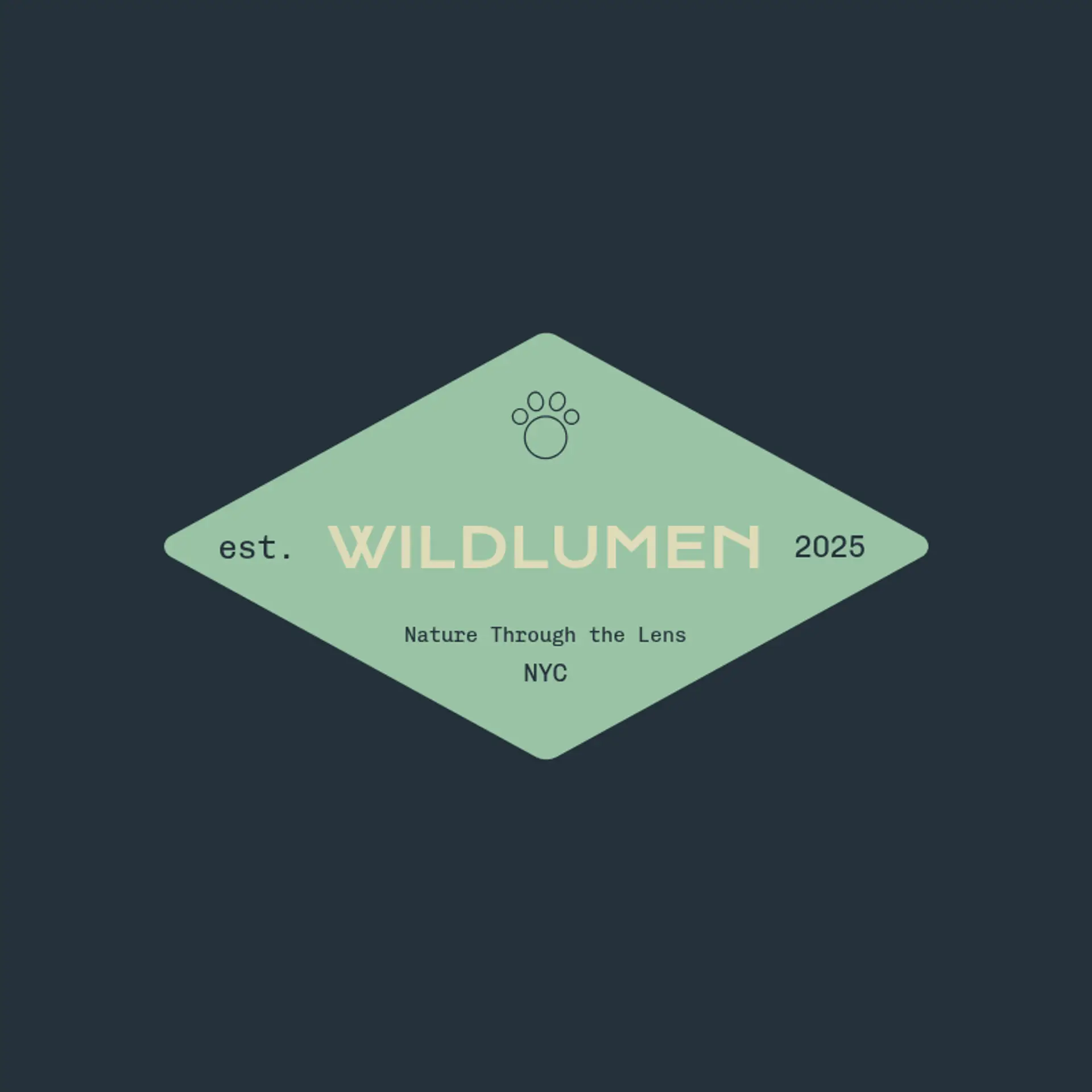 WildLens Imagery logo for wildlife photography