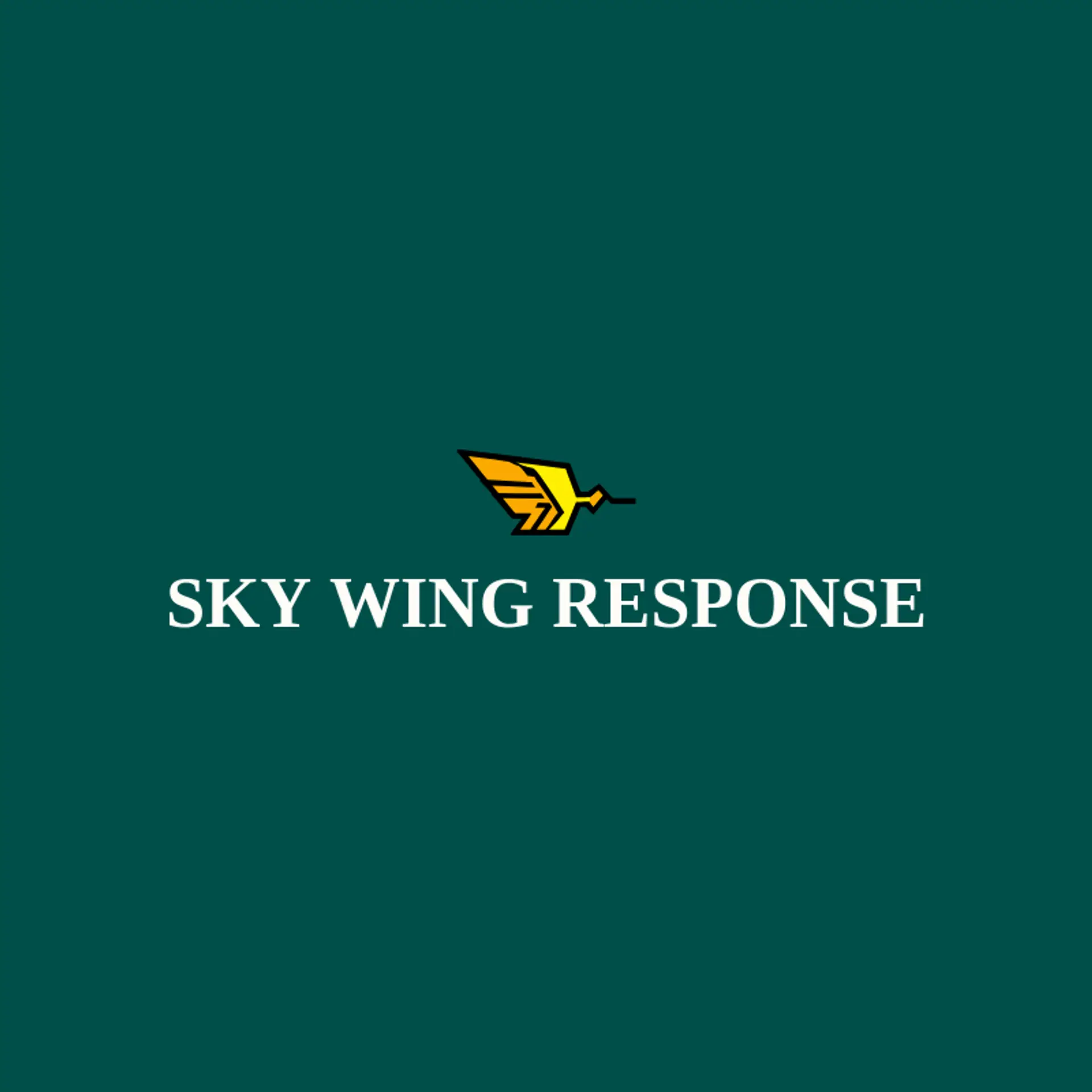 Sky Wing Response logo for paramedic