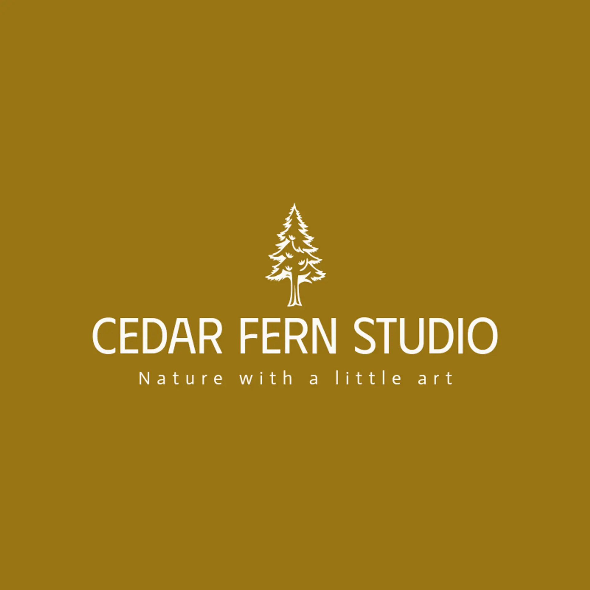 Cedar Fern Studio logo for evergreen