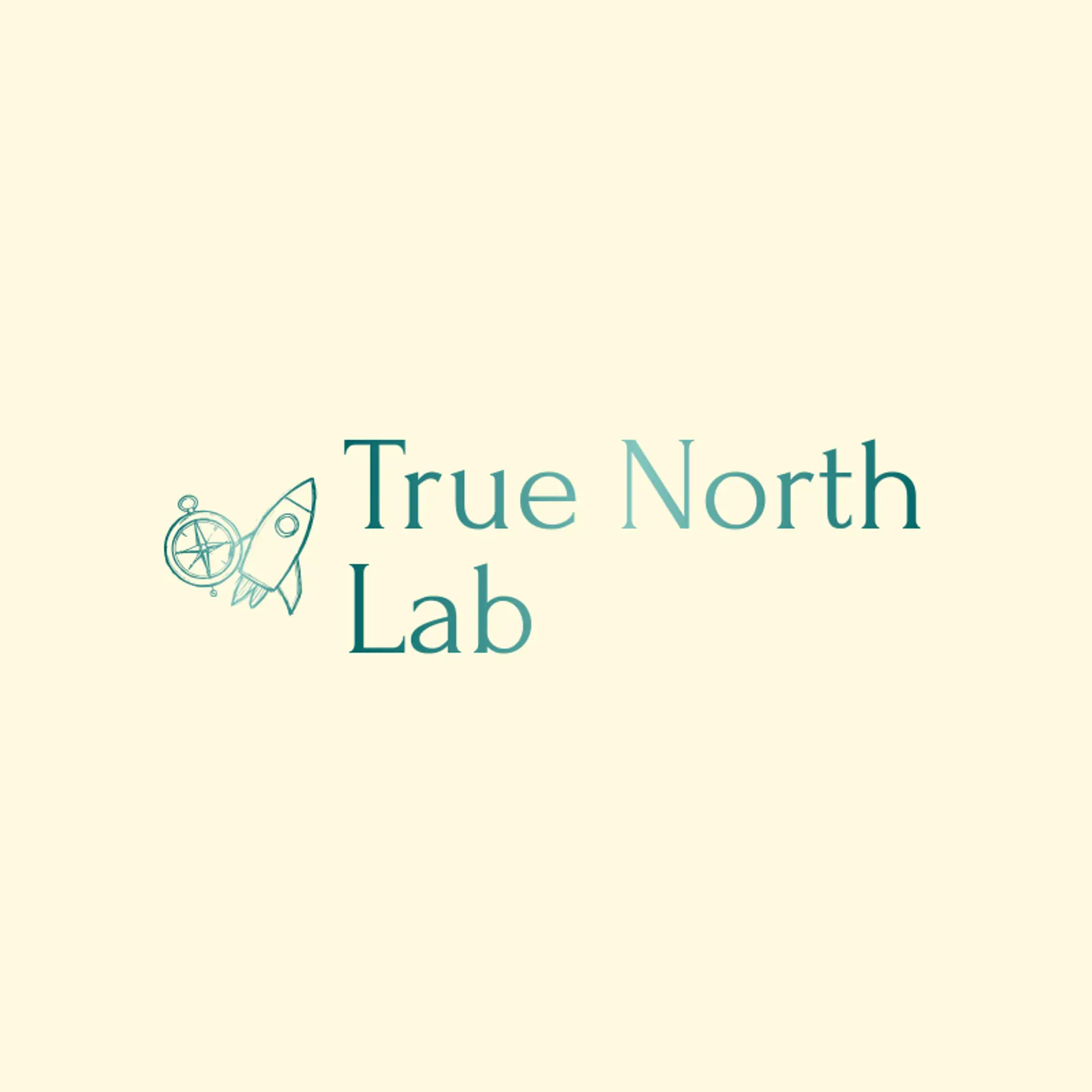 True North Lab logo for rocket