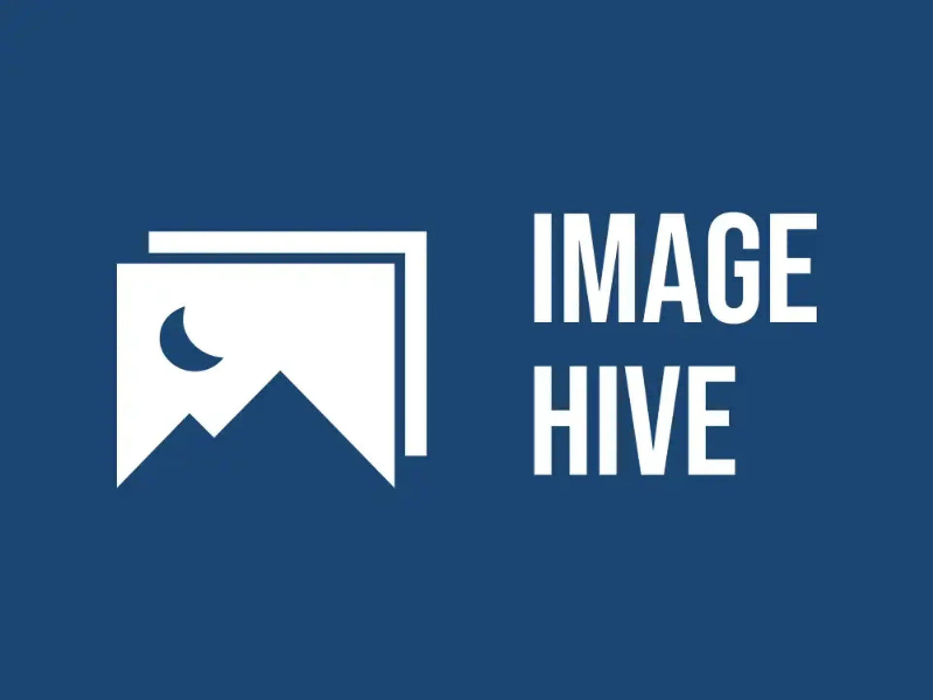 image hive photography business logo