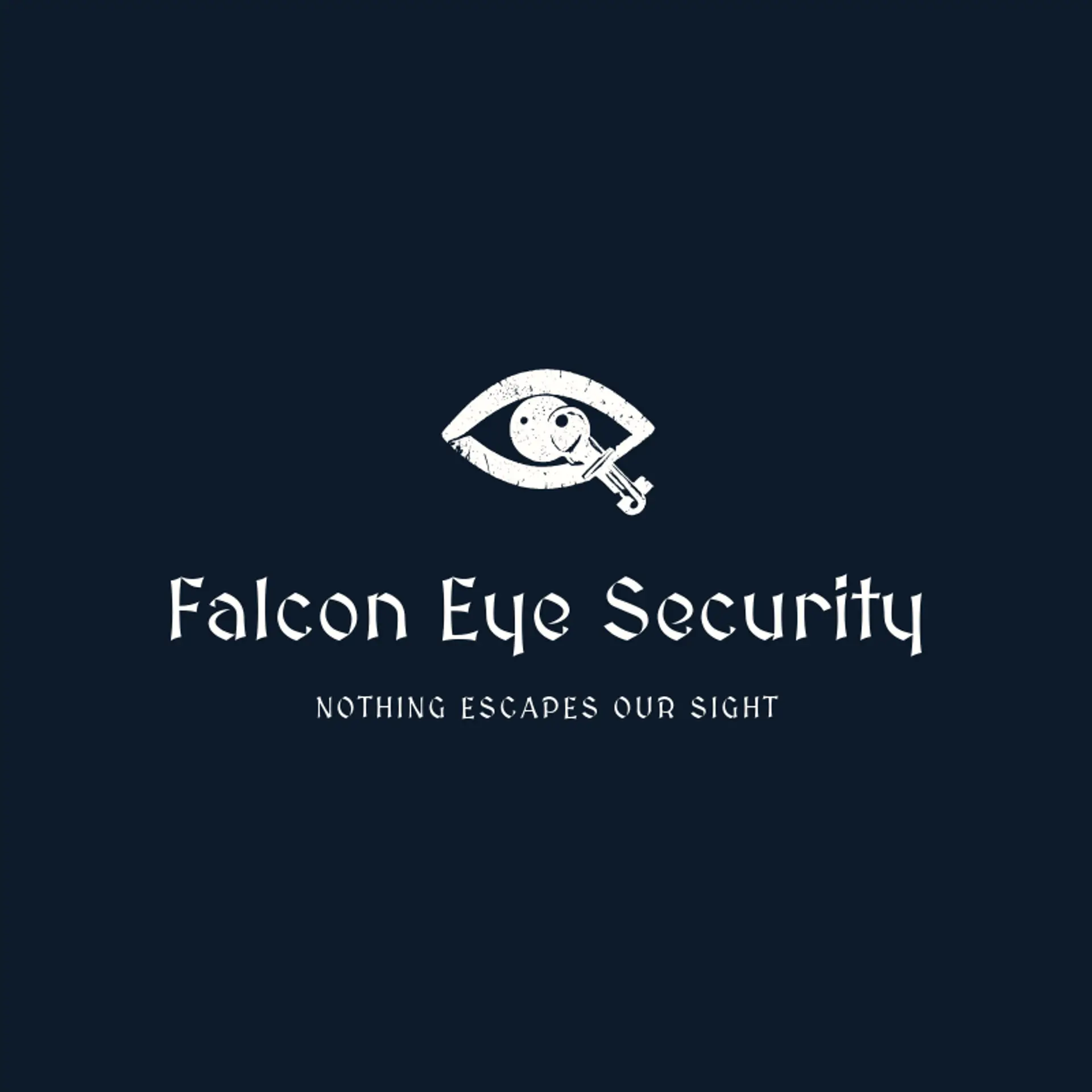 Falcon Eye Security logo for cybersecurity