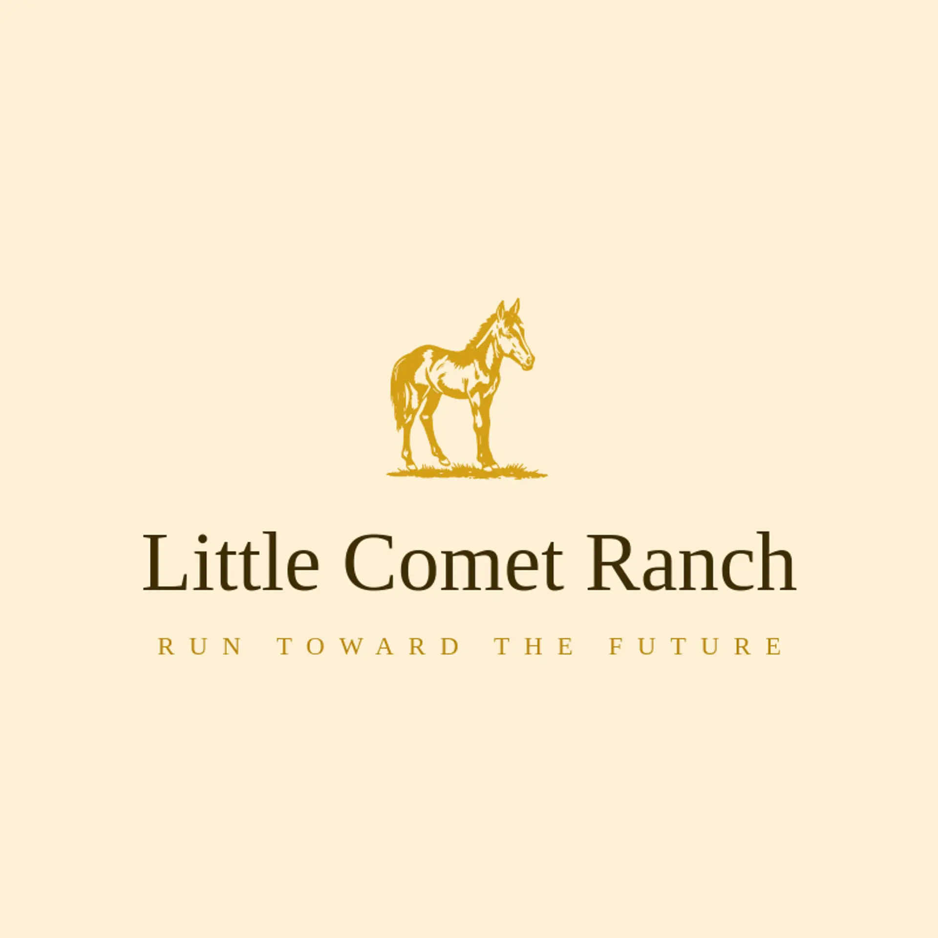 Little Comet Ranch logo for colt