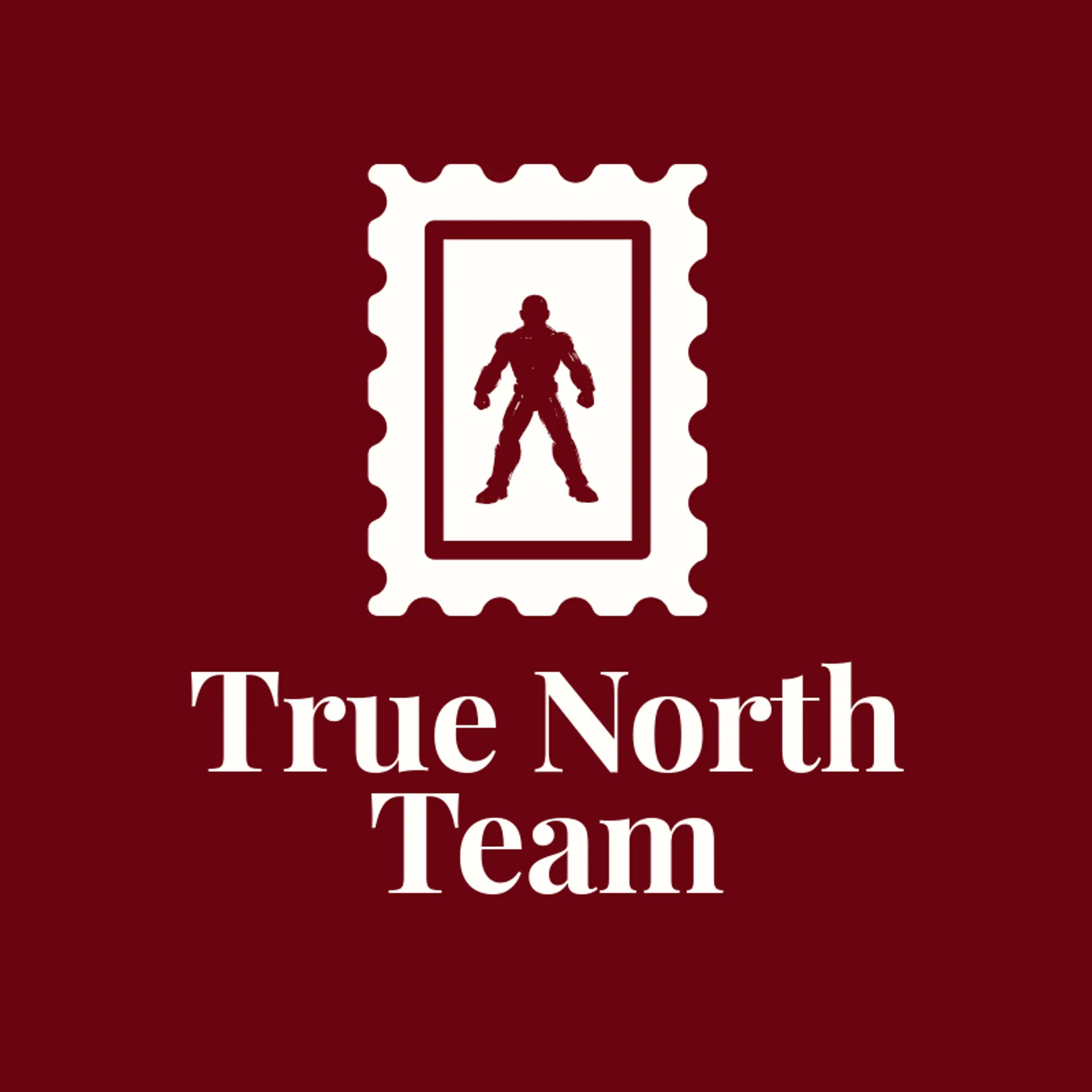 True North Team logo for hero