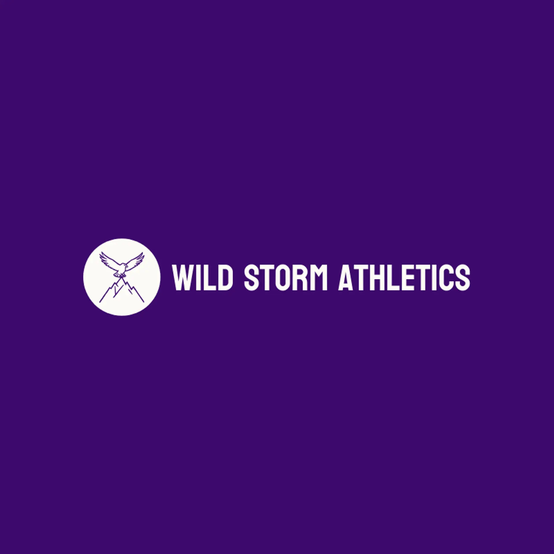 Wild Storm Athletics logo for storm
