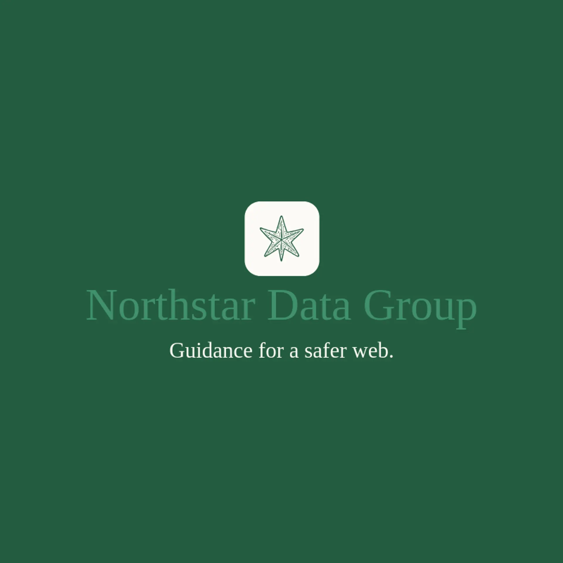 Northstar Data Group logo for cyber