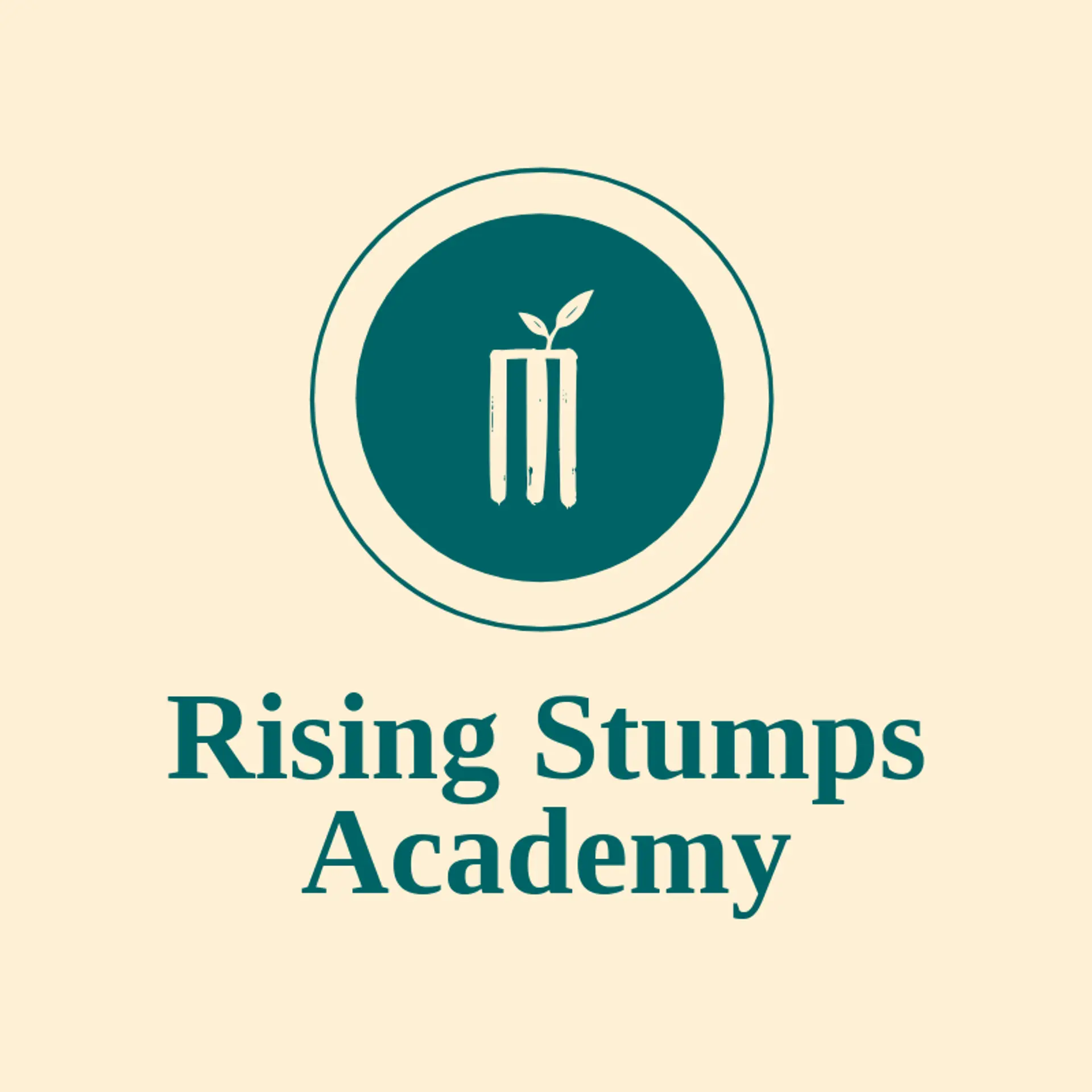 Rising Stumps Academy logo for cricket team