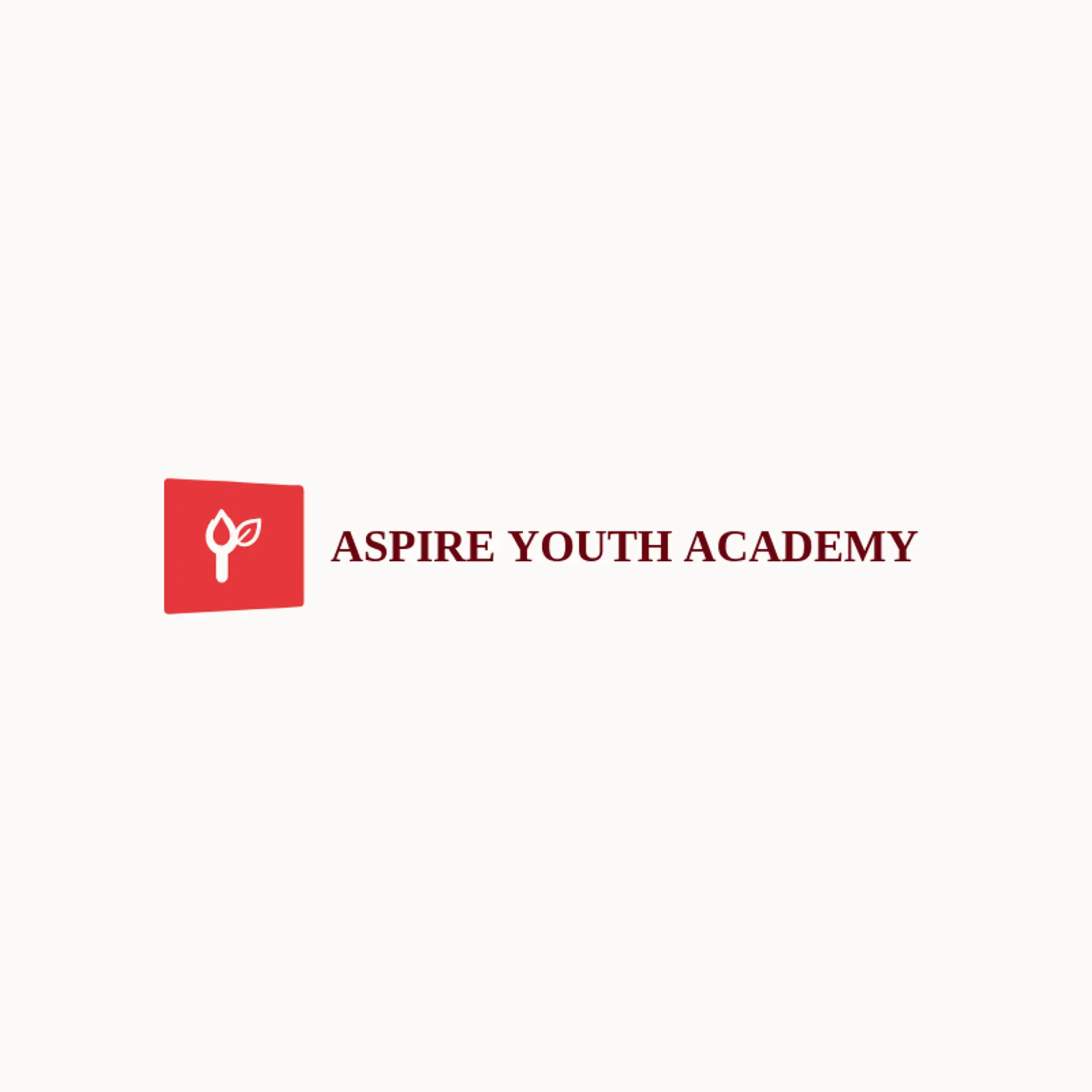 Aspire Youth Academy logo for academy