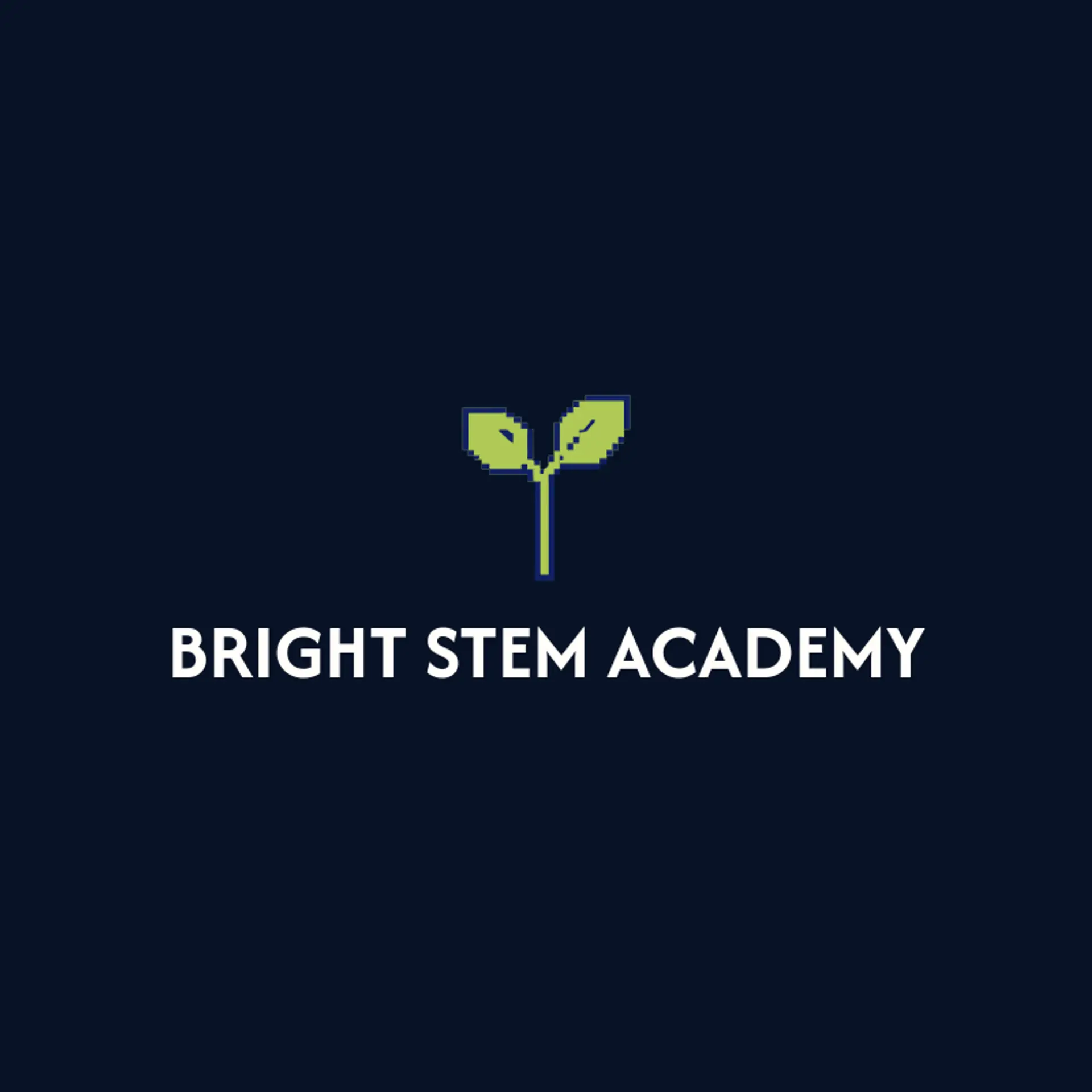 Bright Stem Academy logo for stem