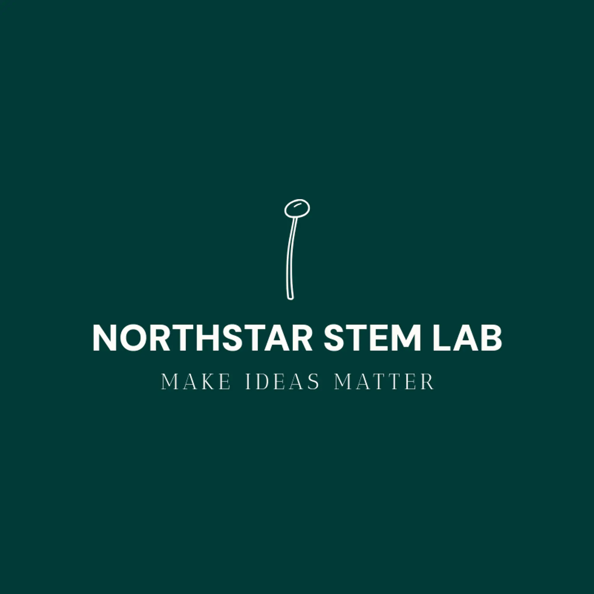 Northstar STEM Lab logo for stem