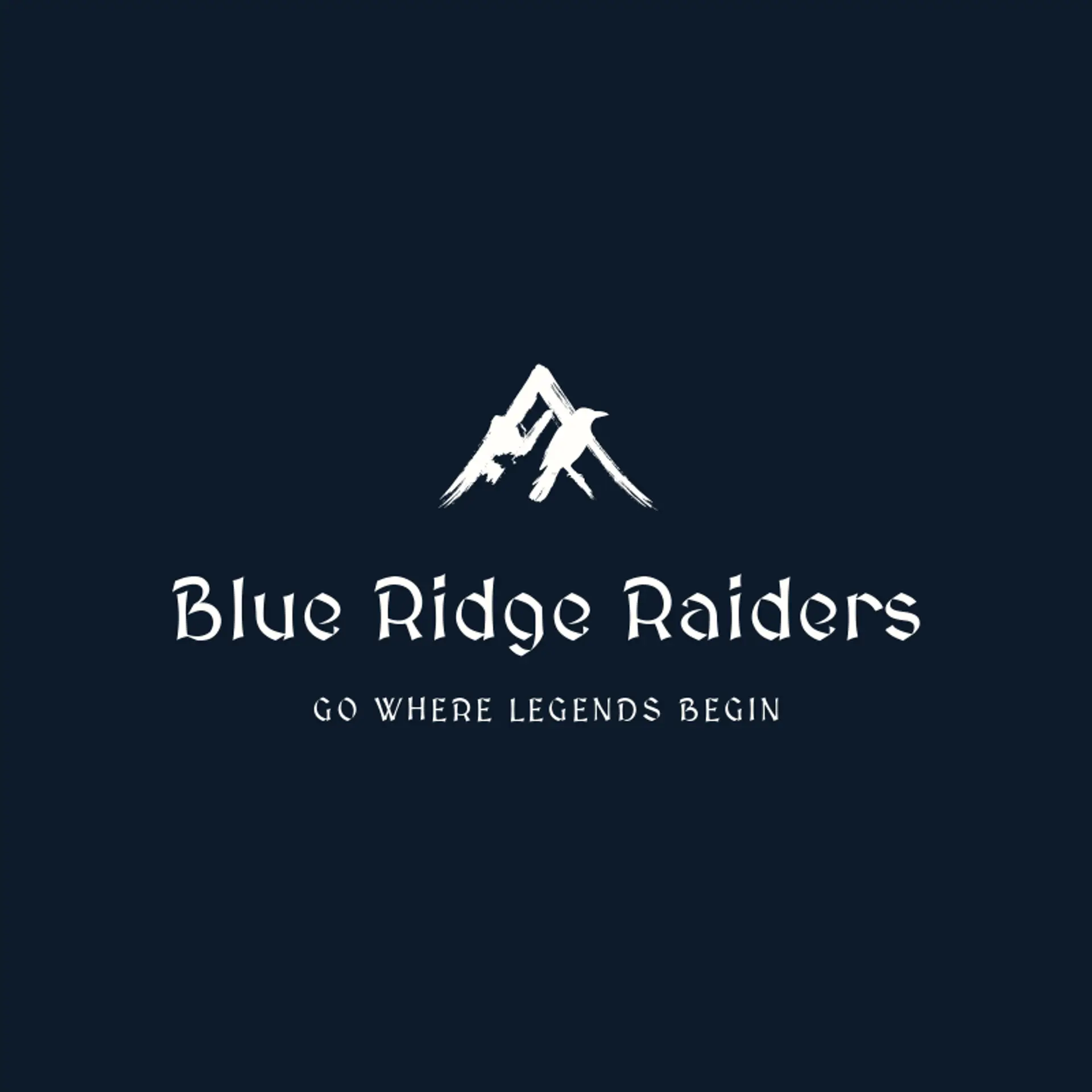 Blue Ridge Raiders logo for viking