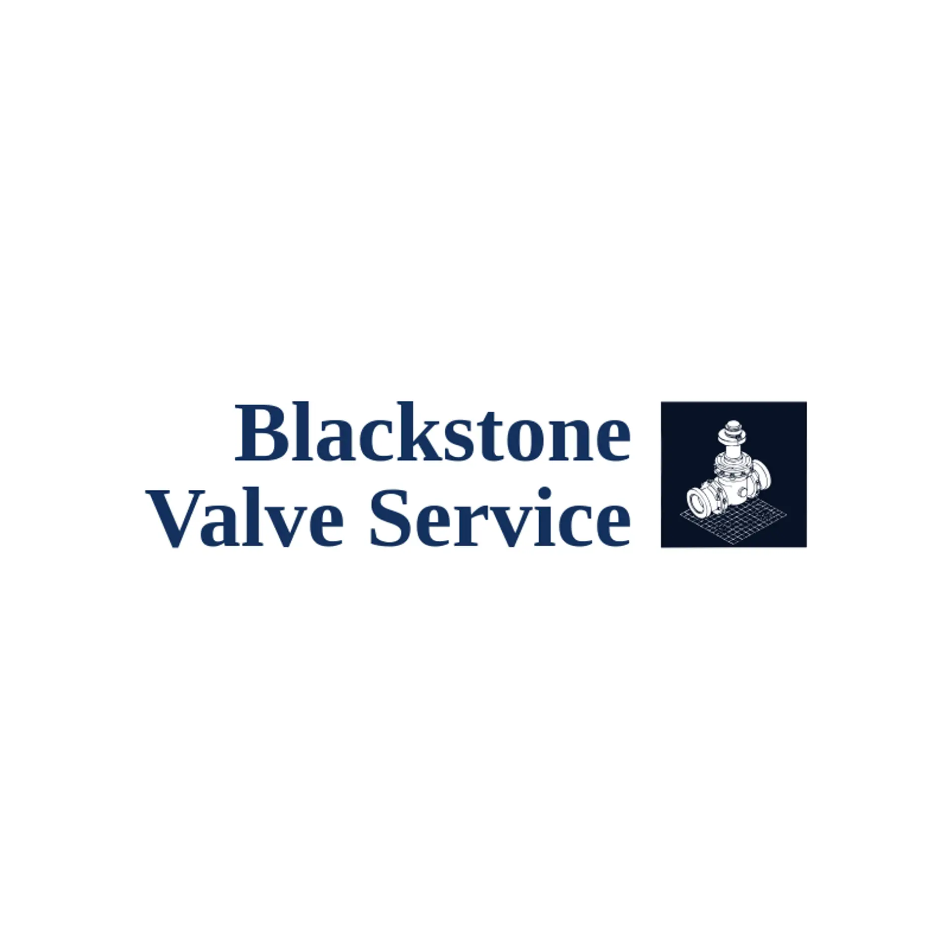 Blackstone Valve Service logo for valve