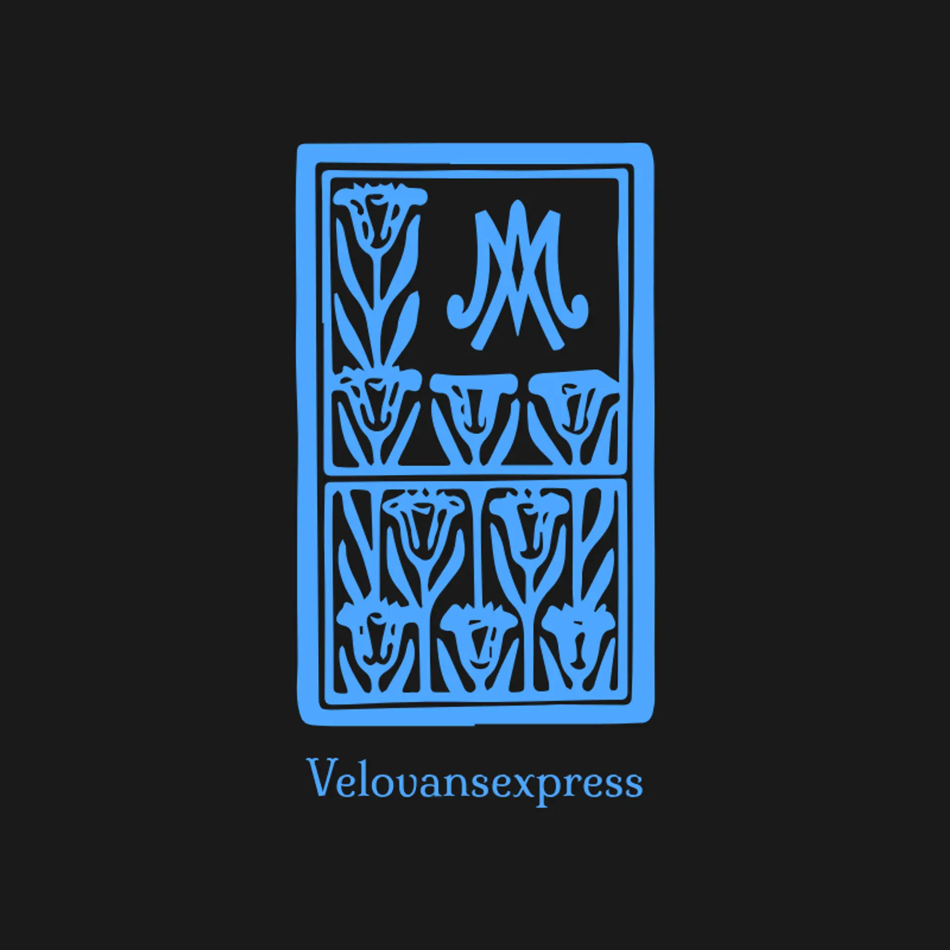 VeloVansExpress logo for automotive pick up