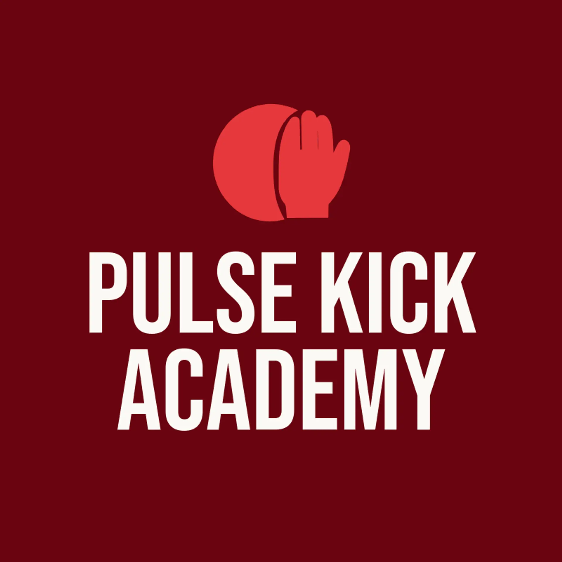 Pulse Kick Academy logo for futsal