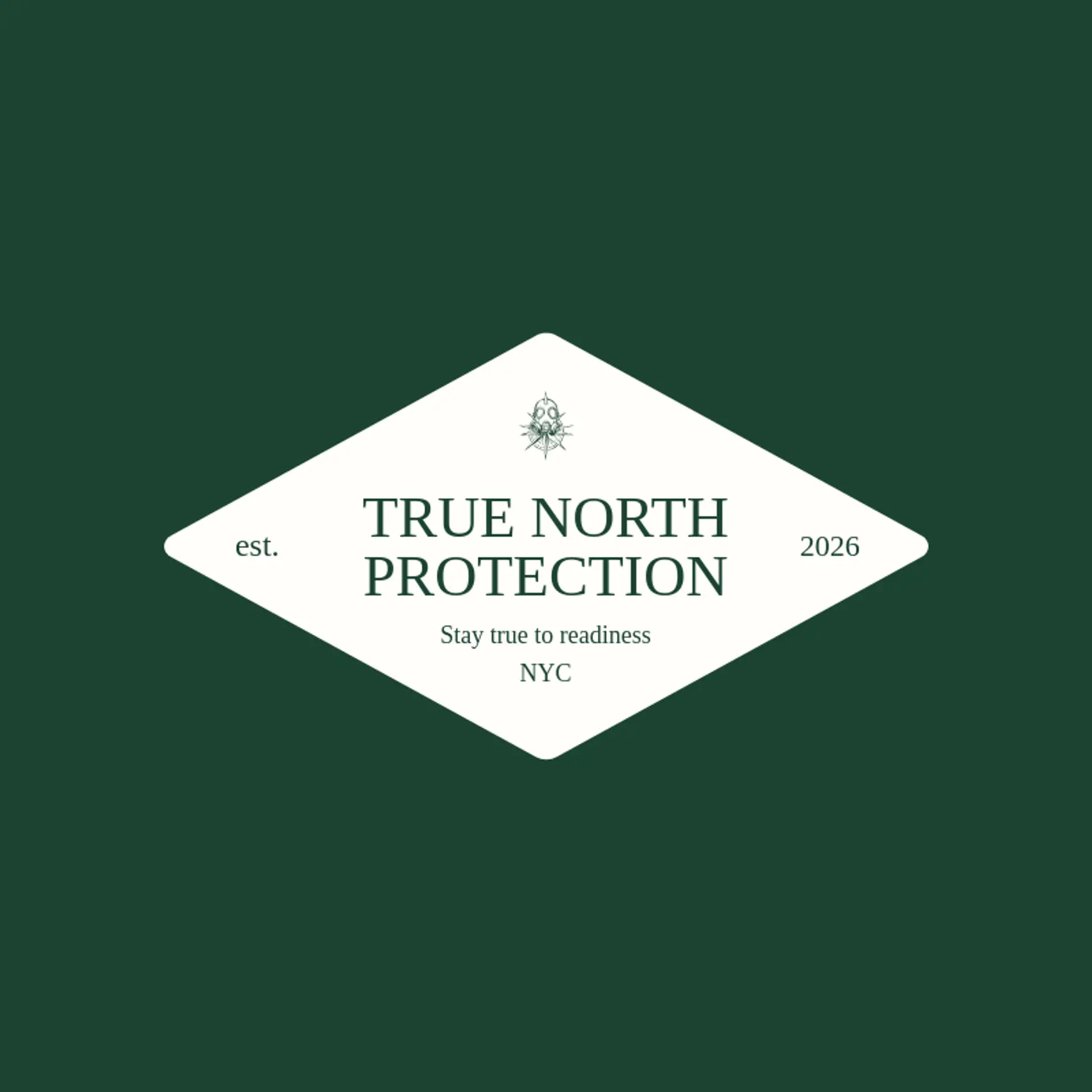 True North Protection logo for gas mask