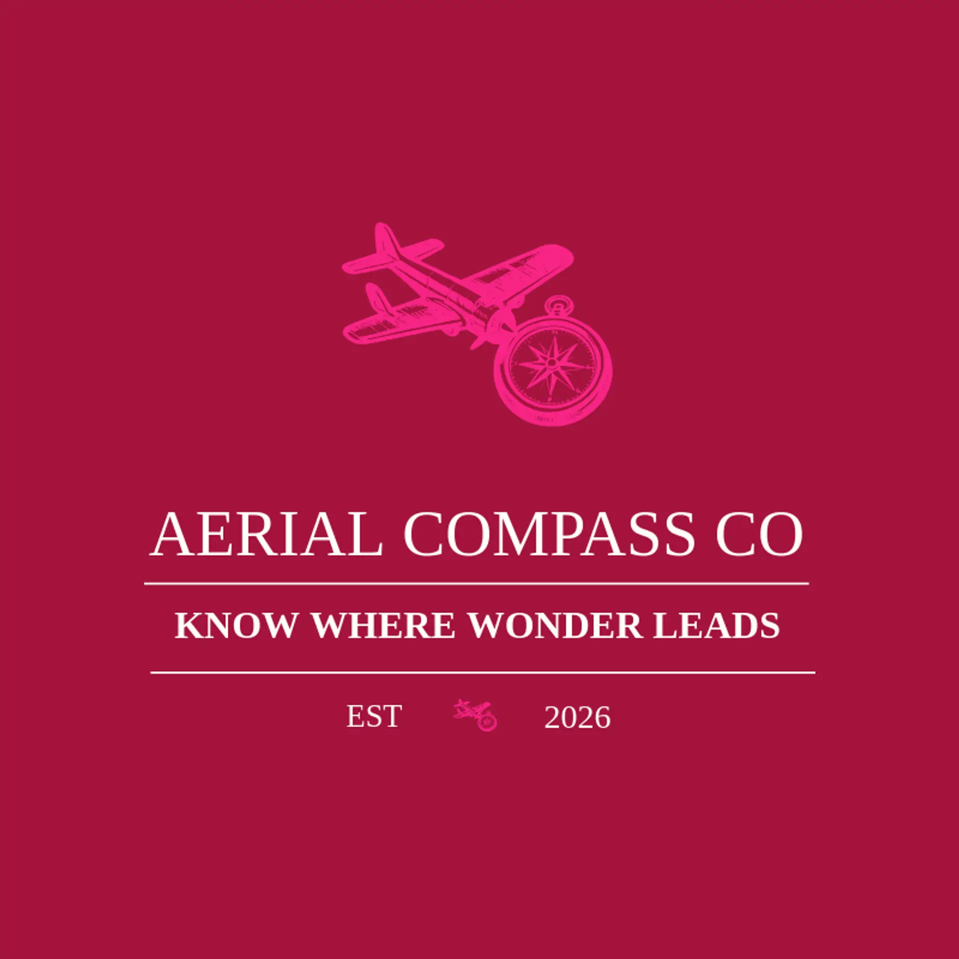Aerial Compass Co logo for plane